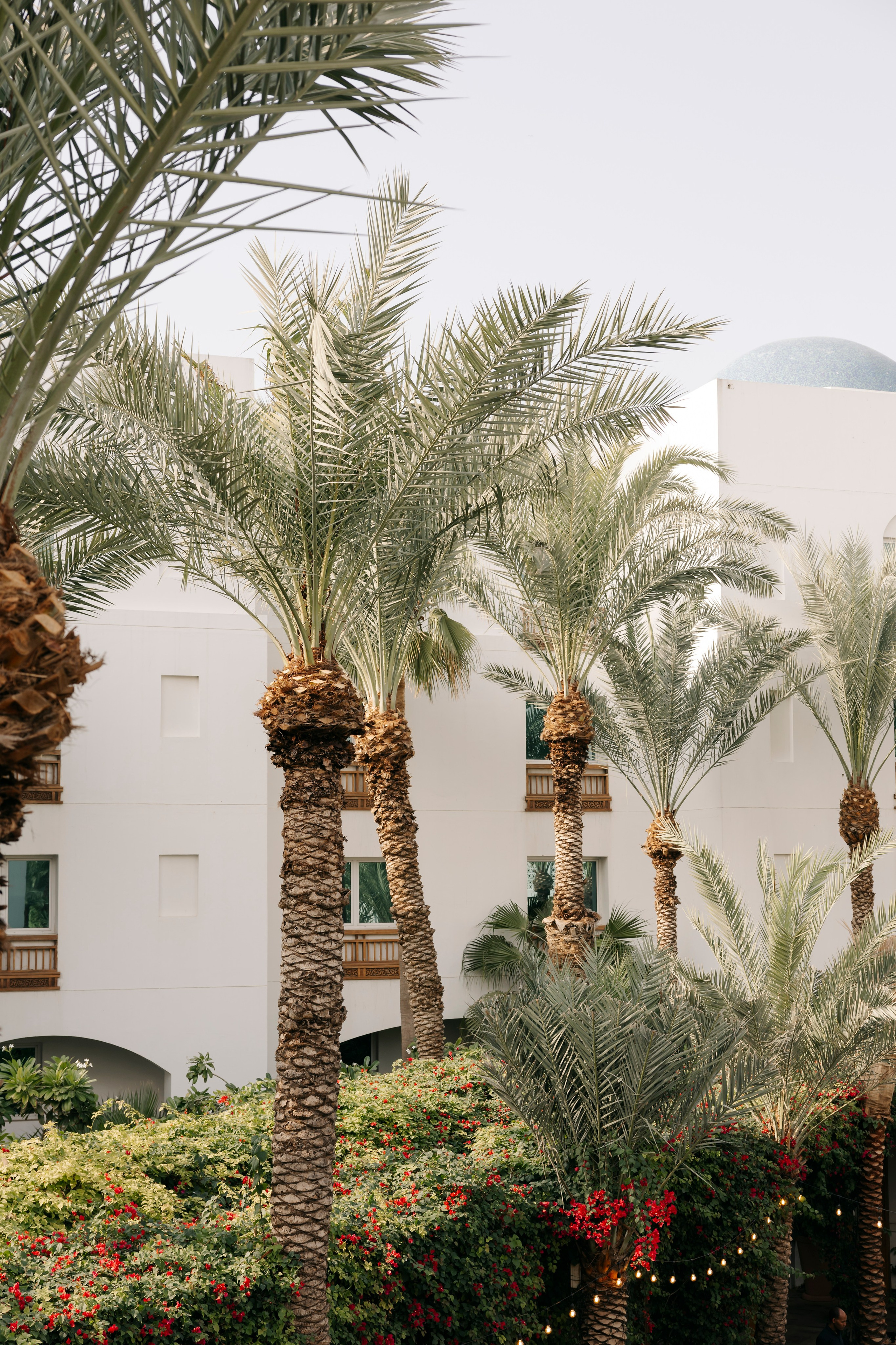 T & A Wedding Ceremony + Reception