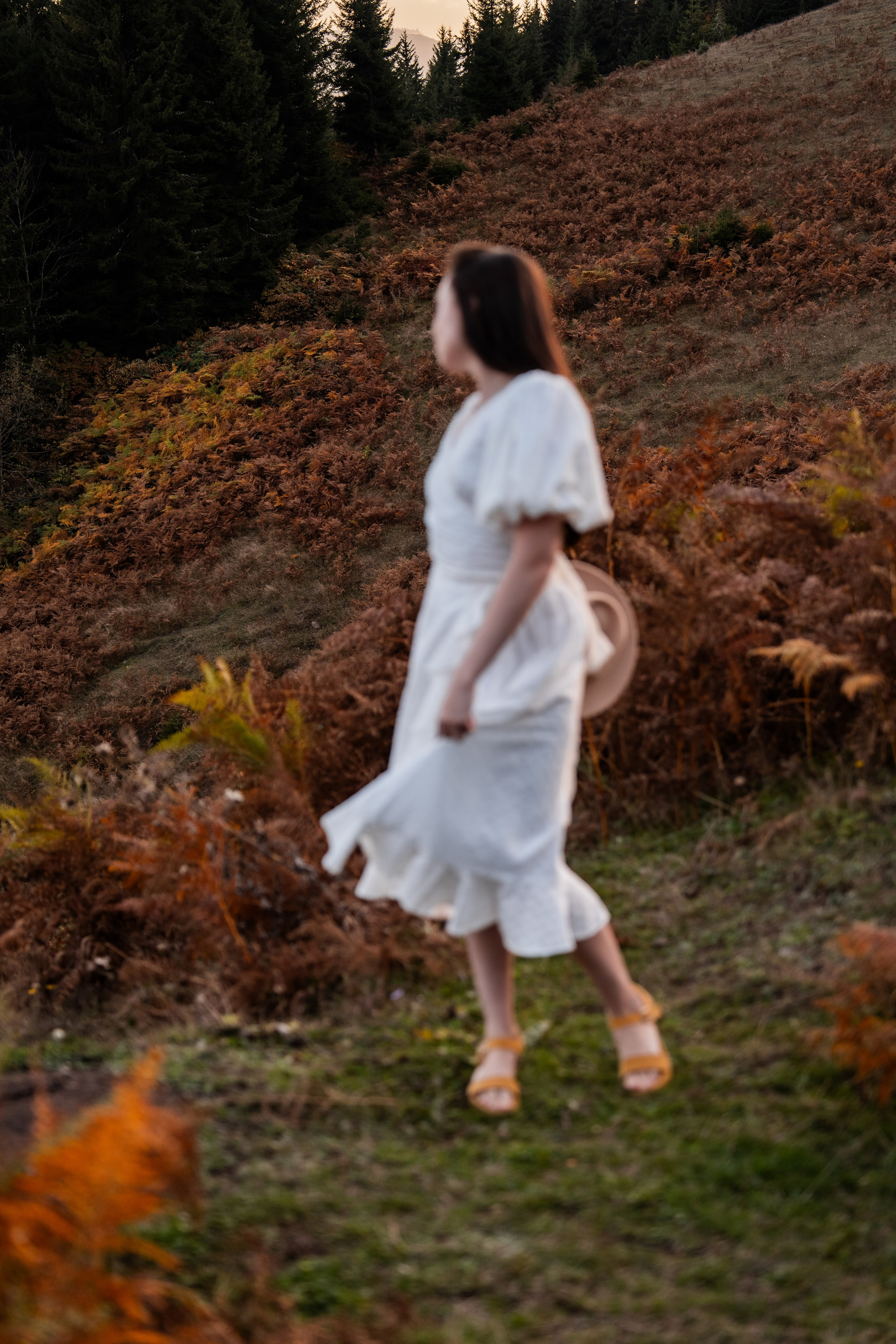 Golden Autumn. Ekaterina Verbitskaya. Photography