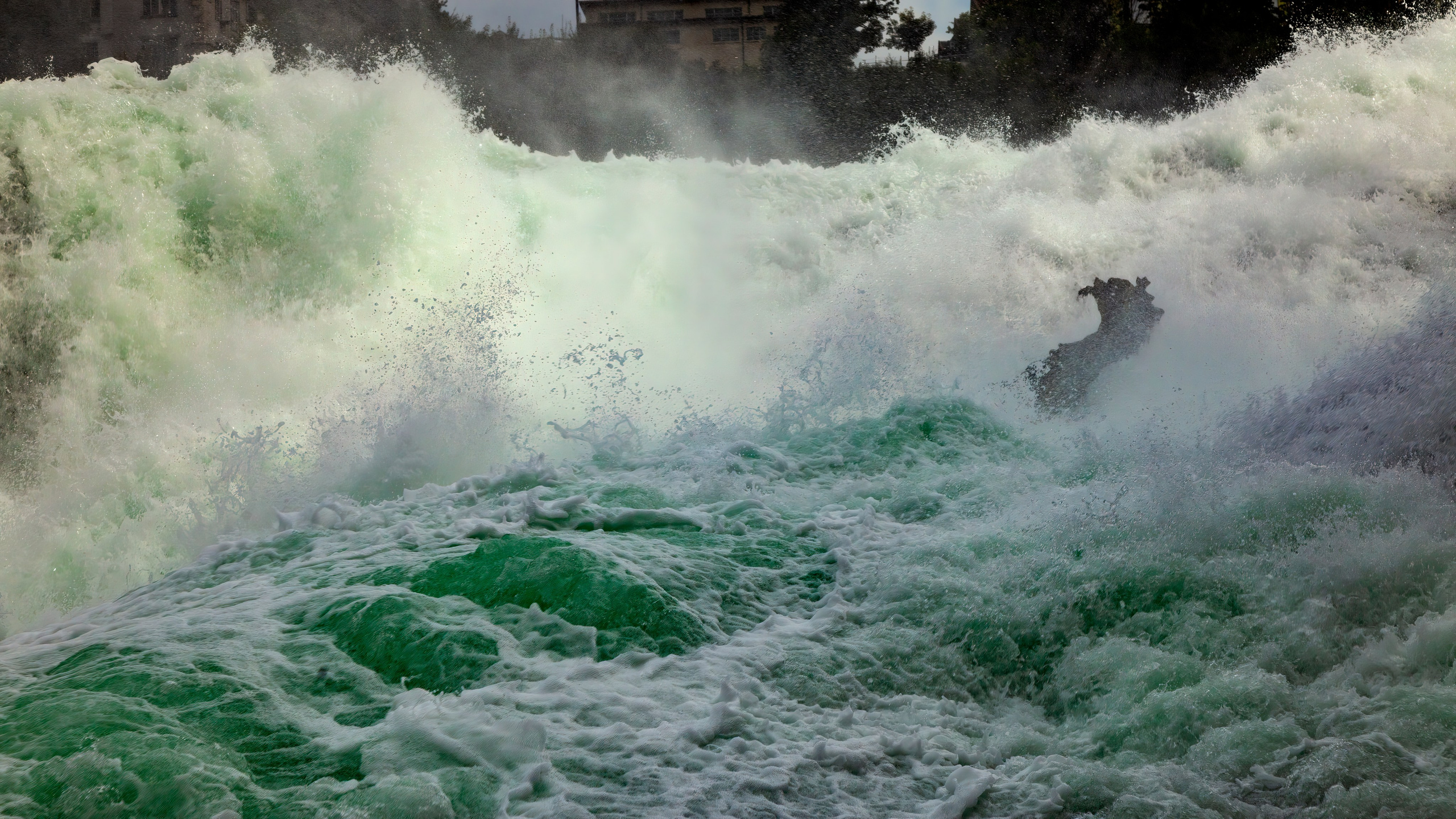 186.Rhine Falls.Switzerland.23.9.2024. Путешествия в формате 360......