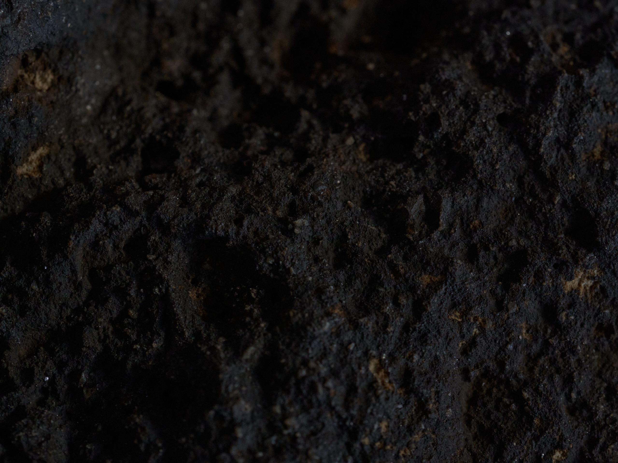 Scars of Shukruti. Egor Borie