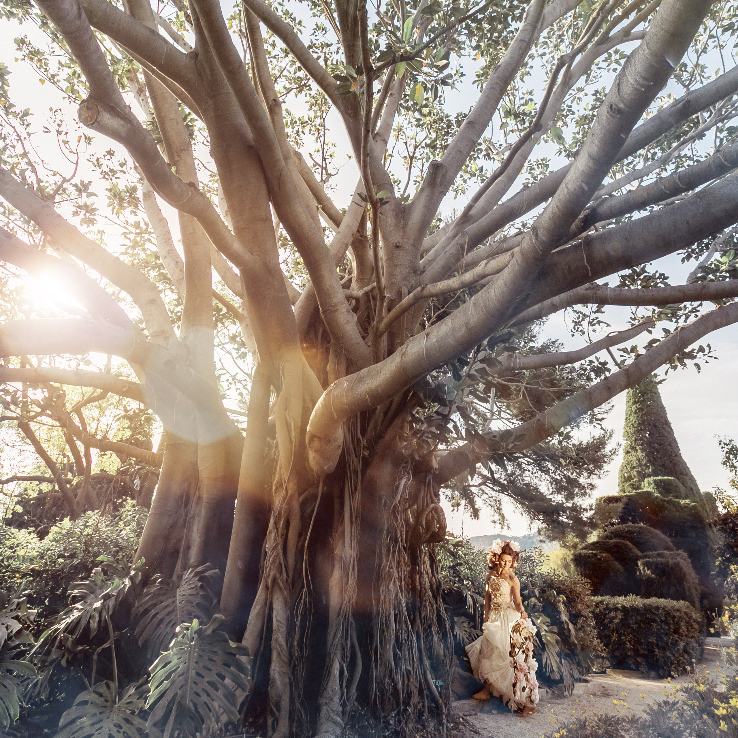 АЛЬБОМ ЛЮБОВЬ. Félix - Photographe professionnel à Paris