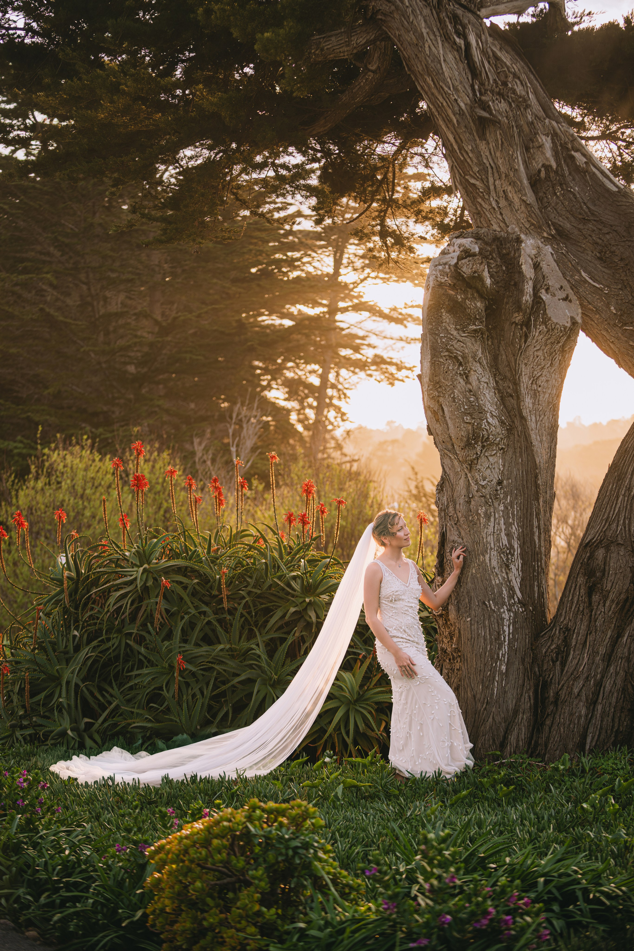 Coastal Elopement in Santa Cruz & Monterey. Wedding & Elopement Photographers in California