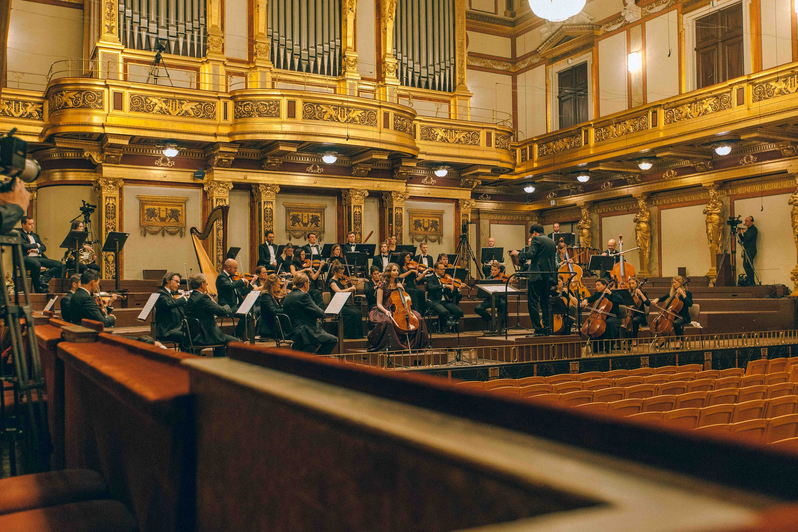 MUSIKVEREIN (VIENNA). Wedding&Event photographer Ismail Rzayev in Baku