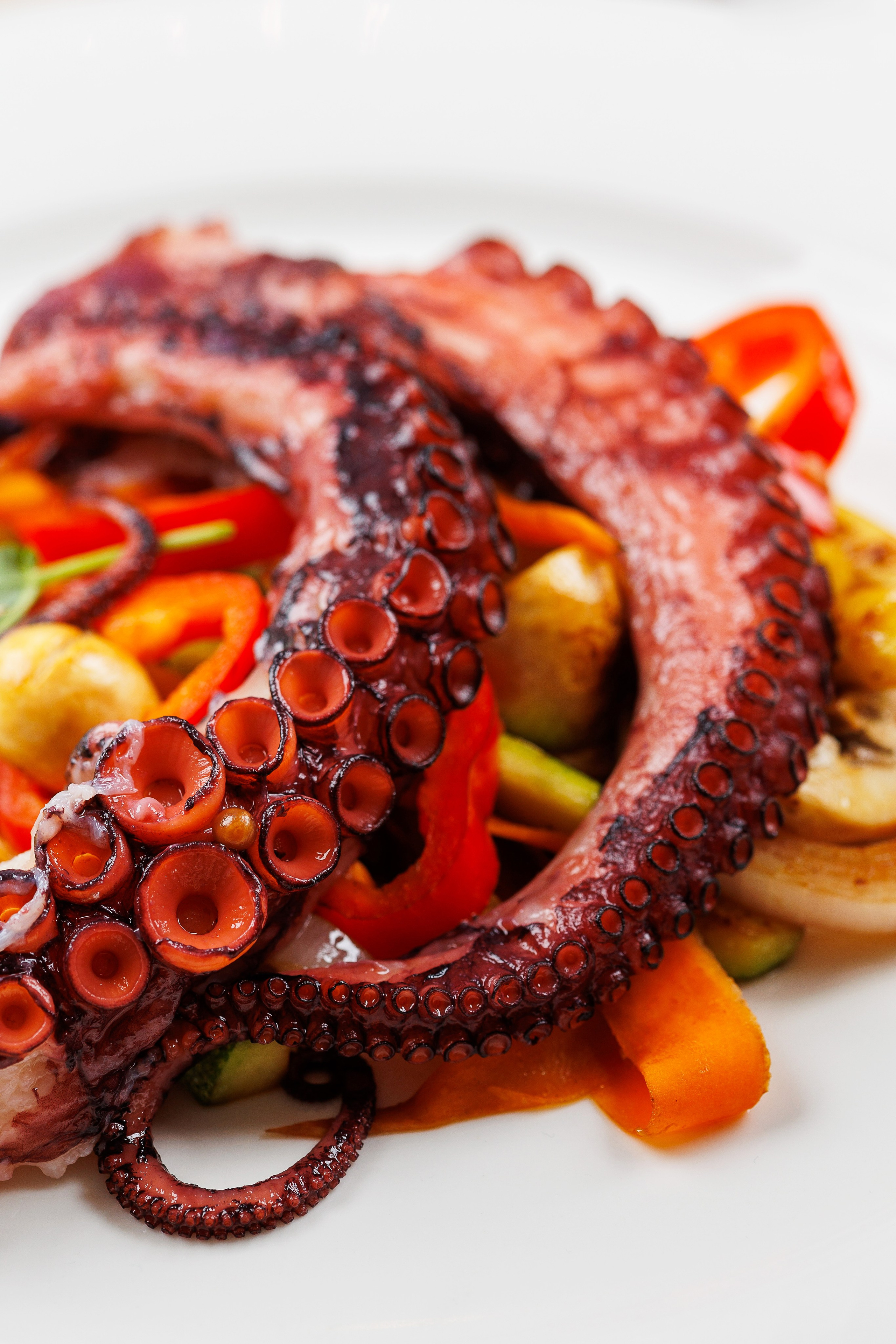 Фотограф в Черногории Андрей Свитайло