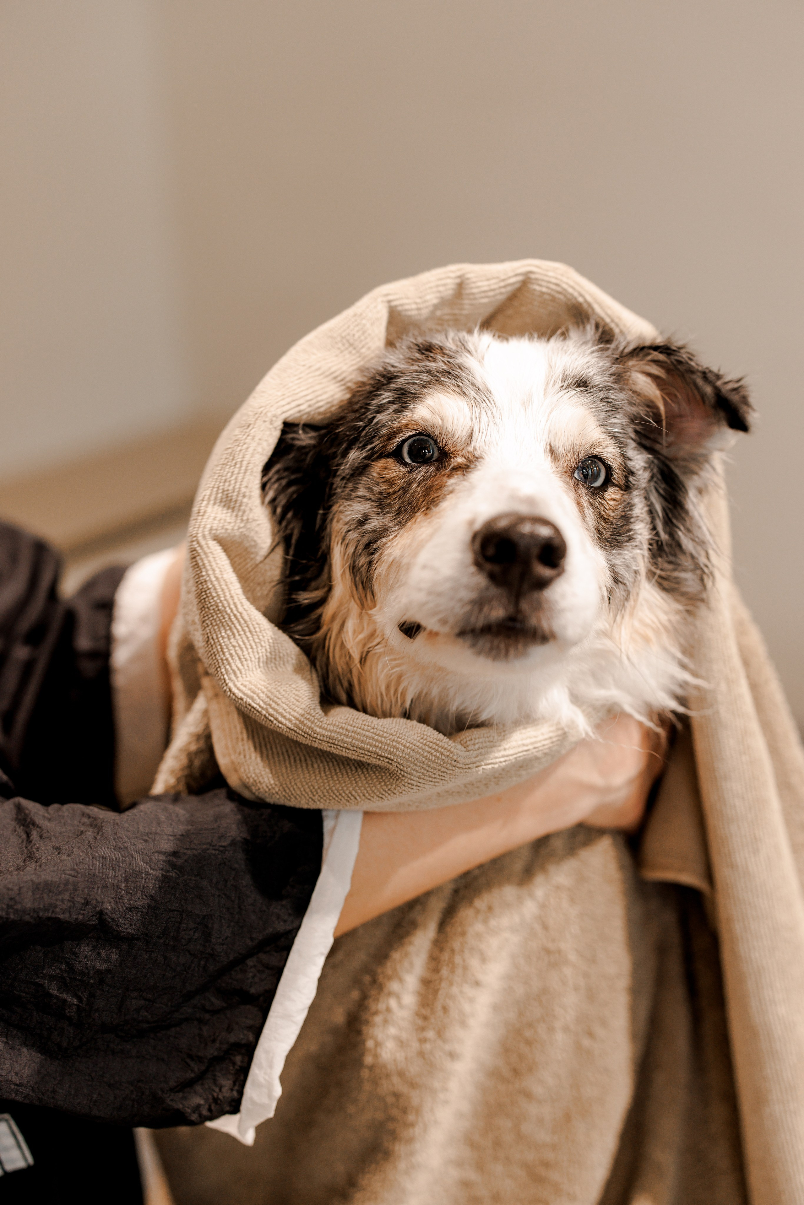 Bark & Bones. Familien- & Hochzeitsfotografin Schweiz. Valeria Diaz in Zürich und Umgebung