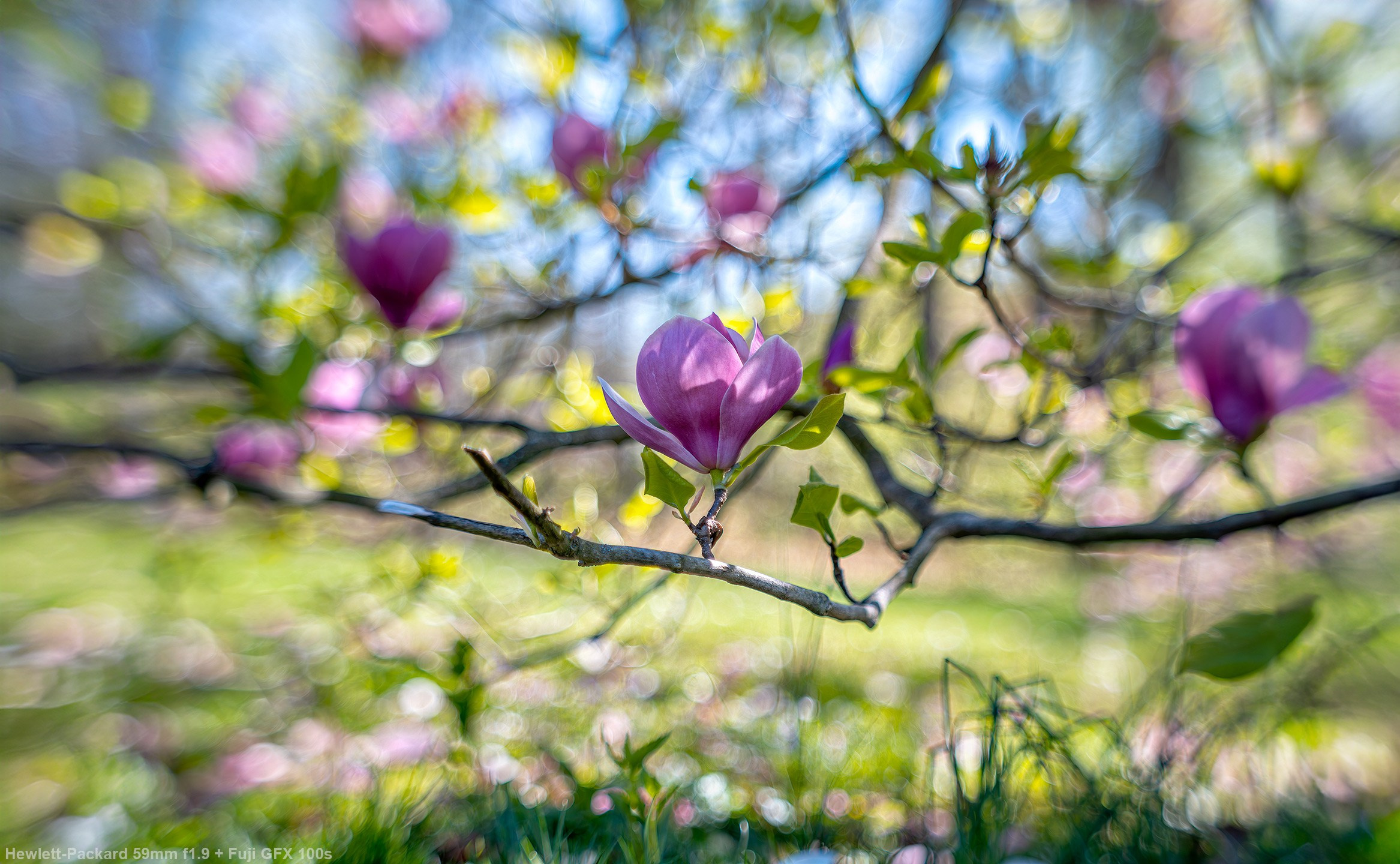 Projection lens Hewlett-Packard 59mm f1.9 and Fuji GFX 100s. Emin Kuliyev — Award-Winning Wedding Photojournalist NYC & USA | Best Wedding Photographer Known for Candid, Timeless Moments