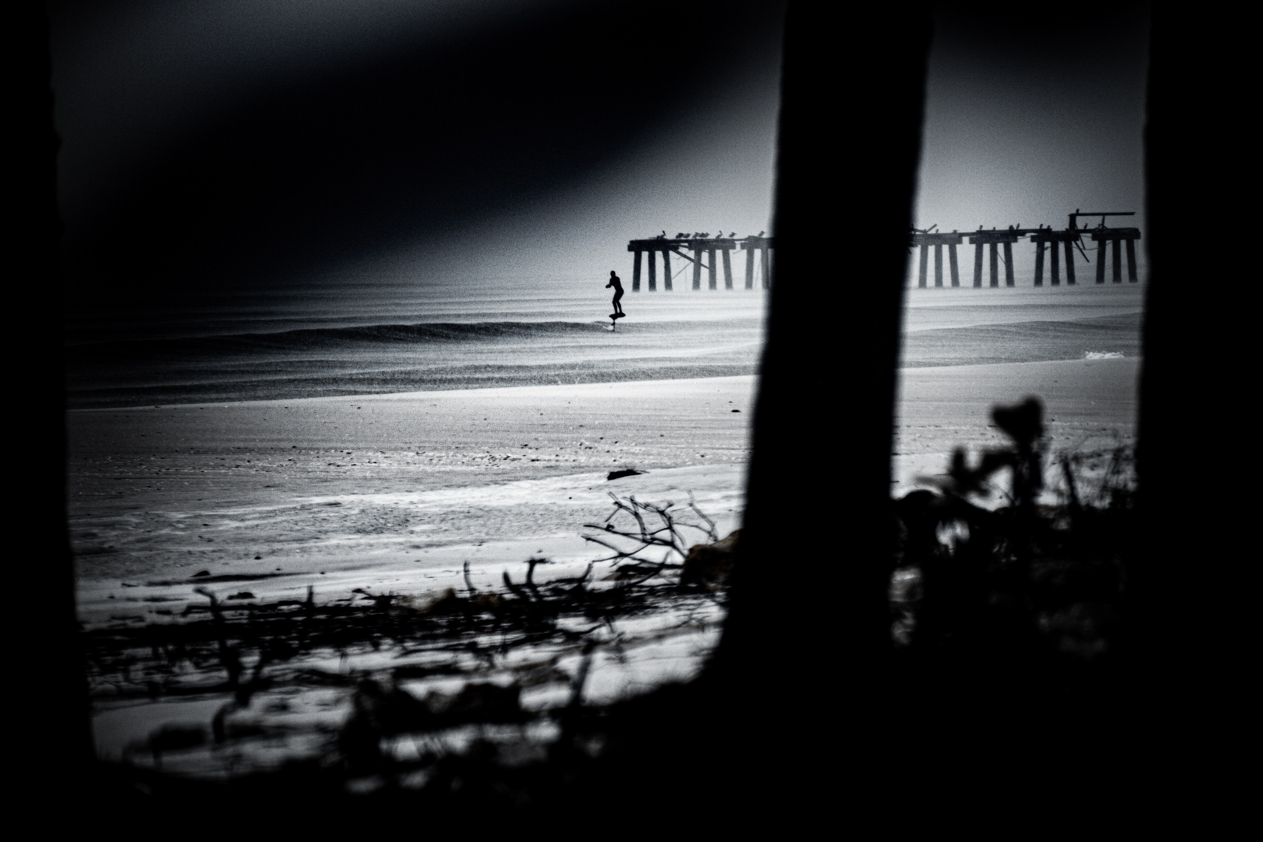 Black and White. Out and About 239