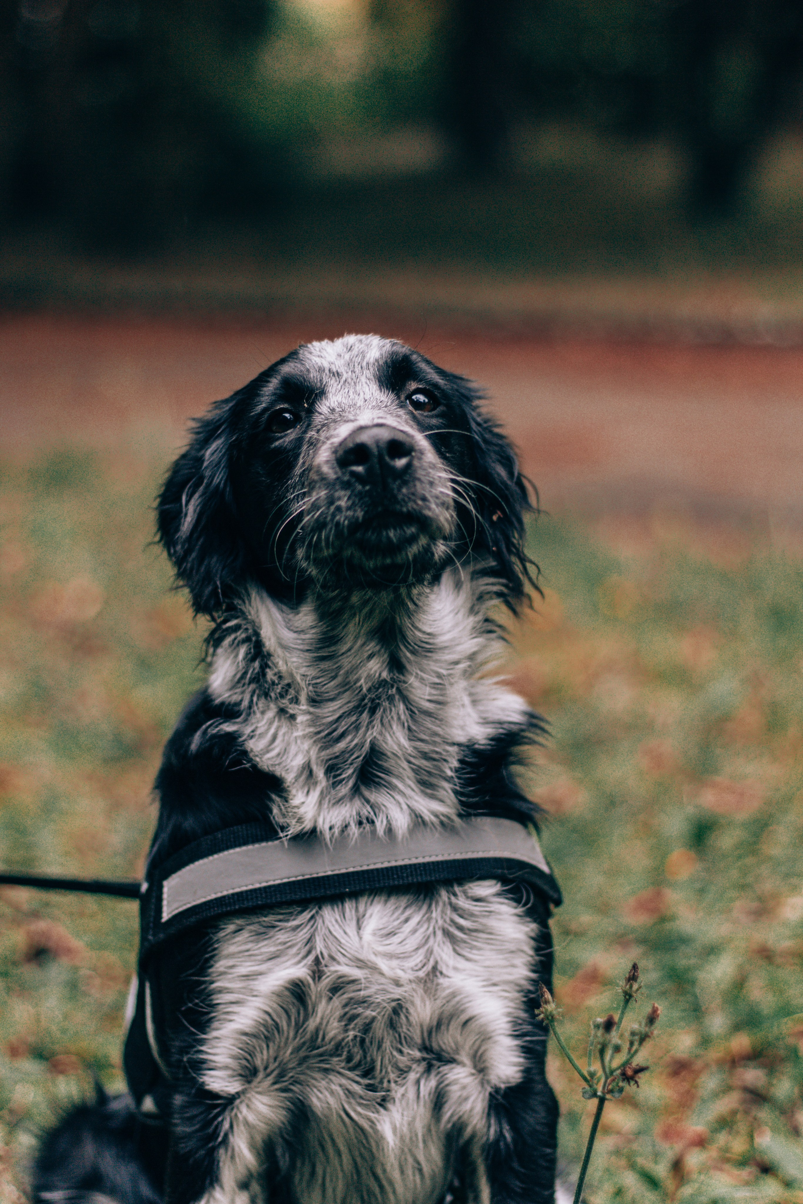 Johanna et sa famille. Studio photo « Partage ton bonheur » – Photographe famille près de Châtellerault, Poitiers et Tours