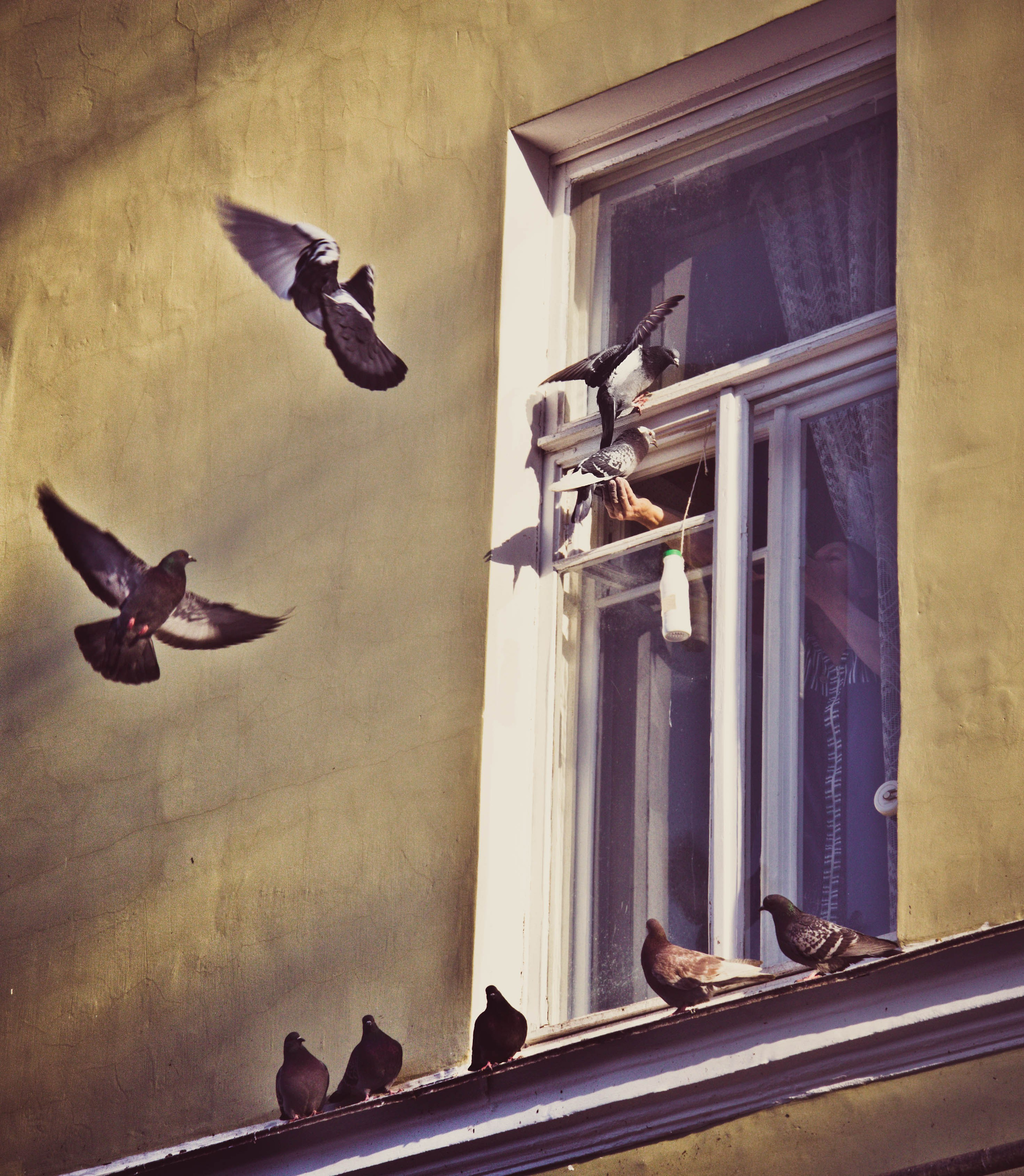 2012. Стрит-фотография, полная абсурда, идиотизма и красоты