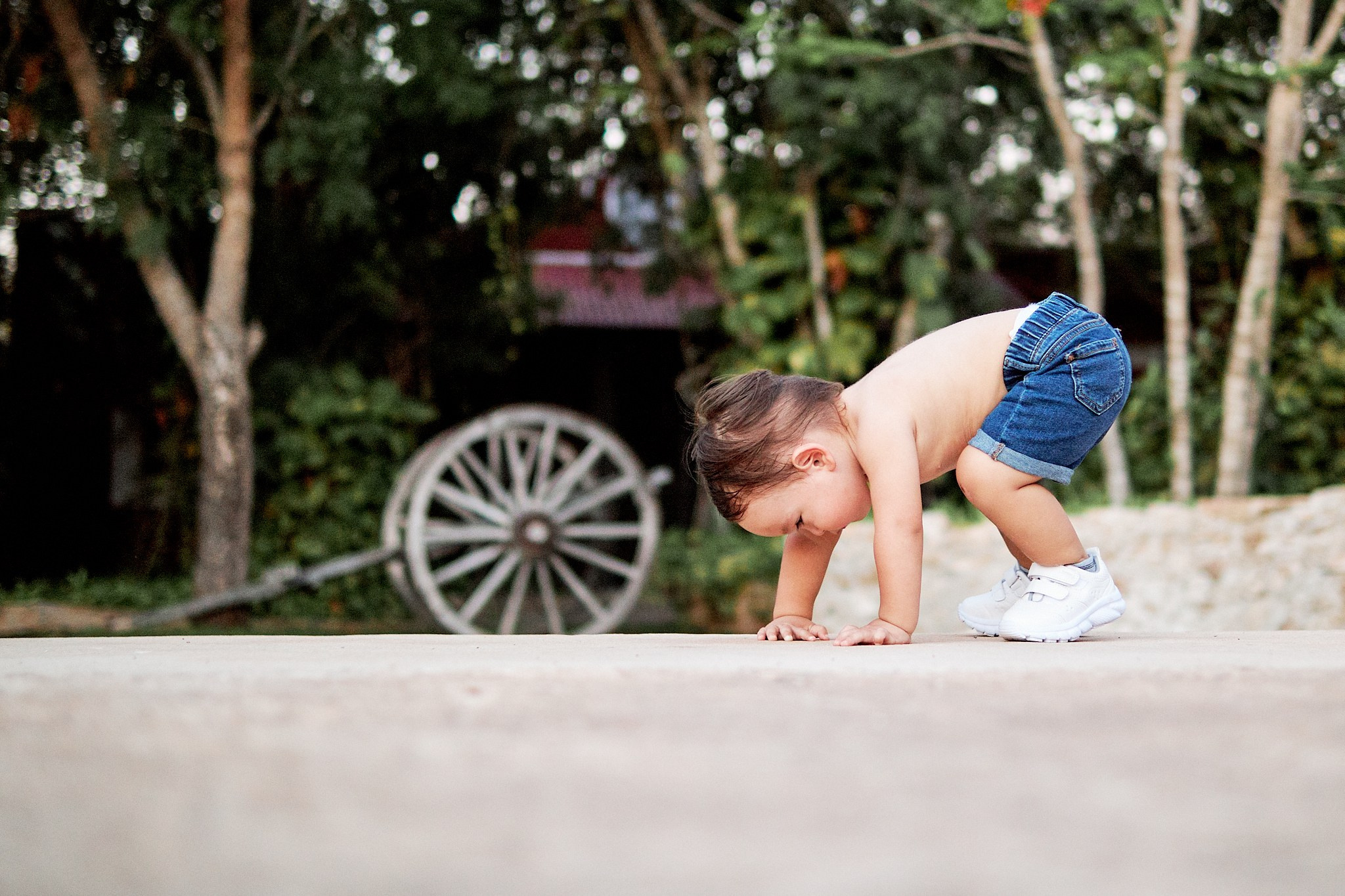 León. Christian Ku fotógrafo en Mérida, Yucatán