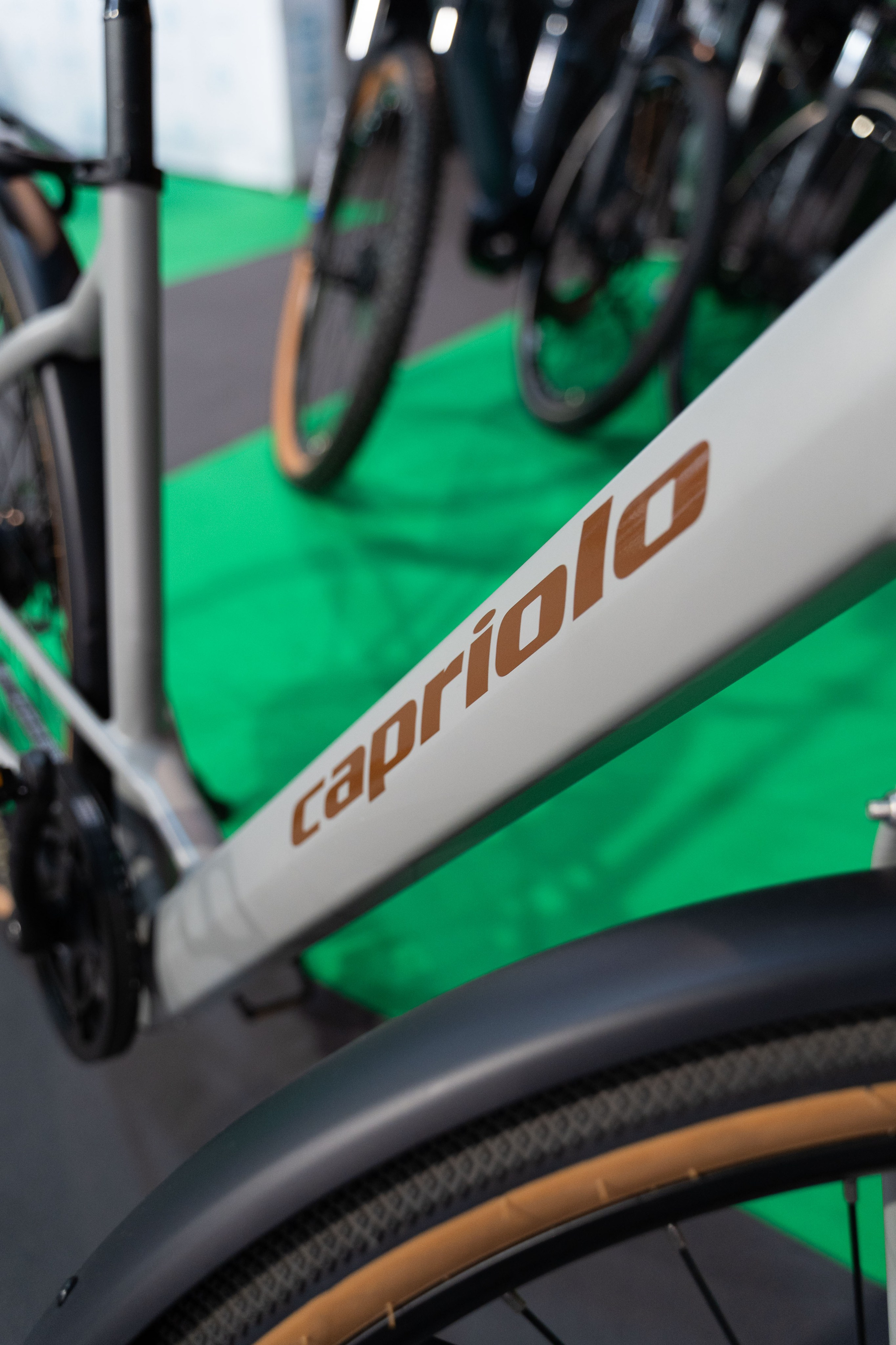 Electric Vehicles Days in Novi Sad 2024. Жуков Студио