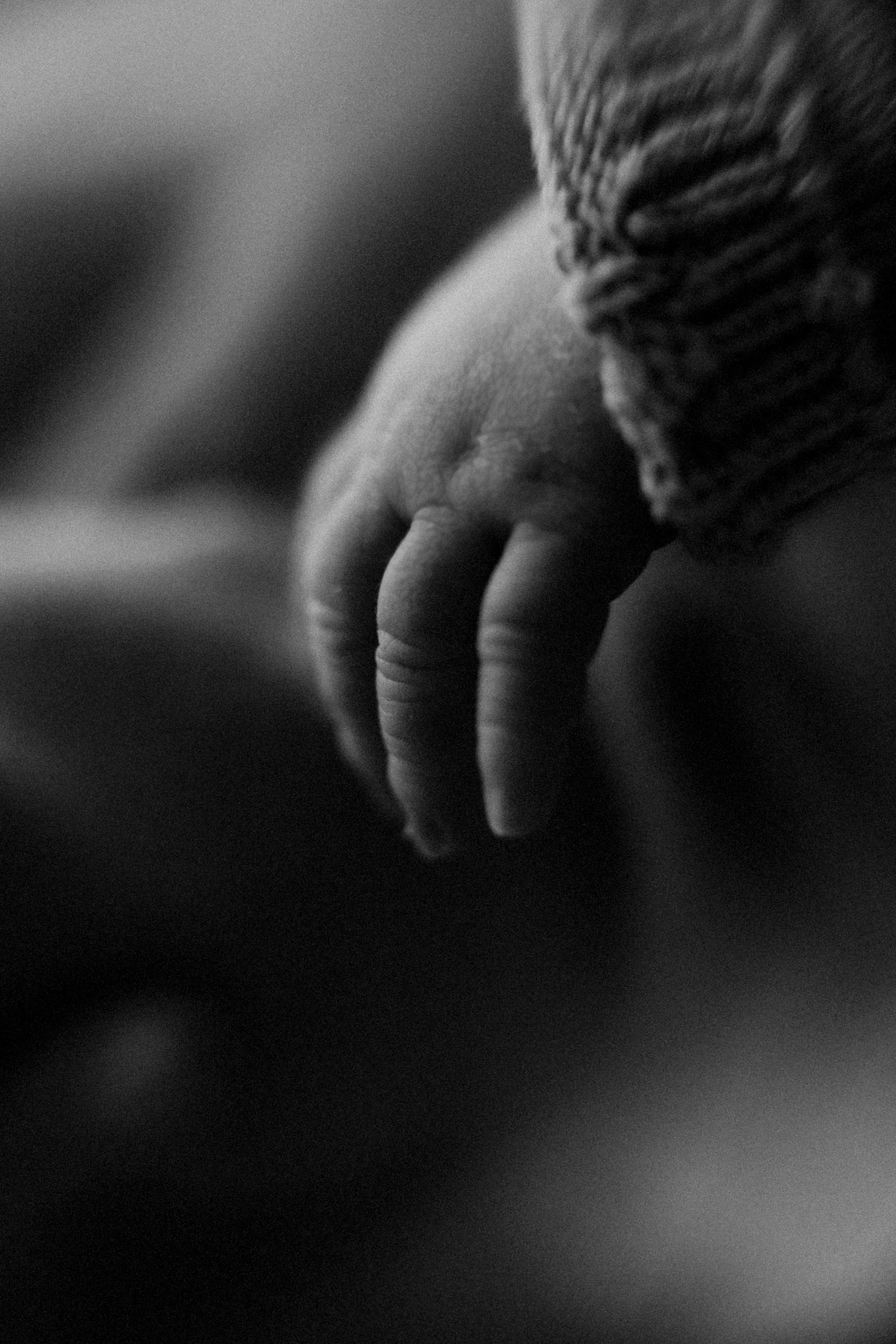 Baby Boy. Фотограф Ирина Йотова