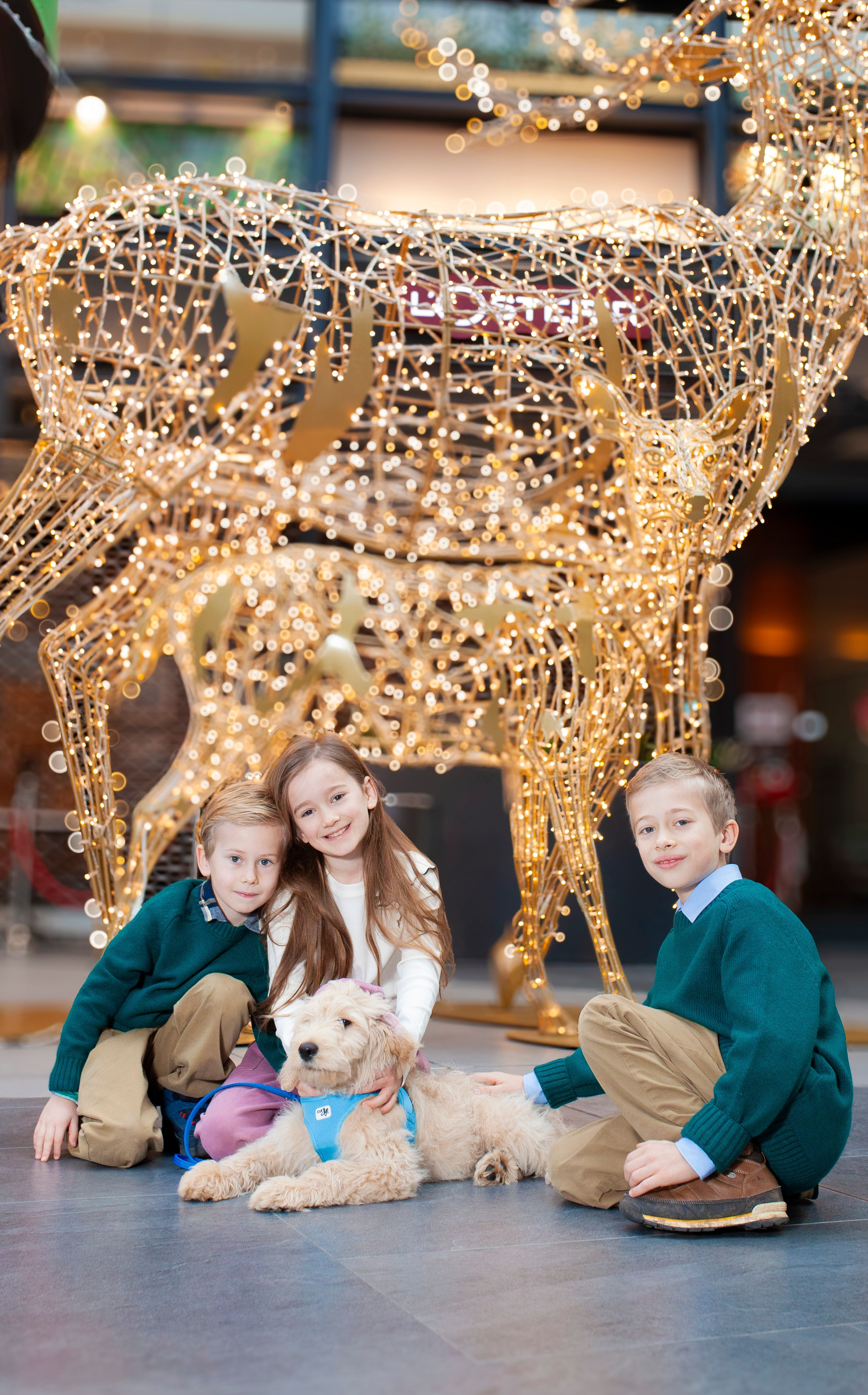 Family 3. ENYA RODAK PHOTOGRAPHY