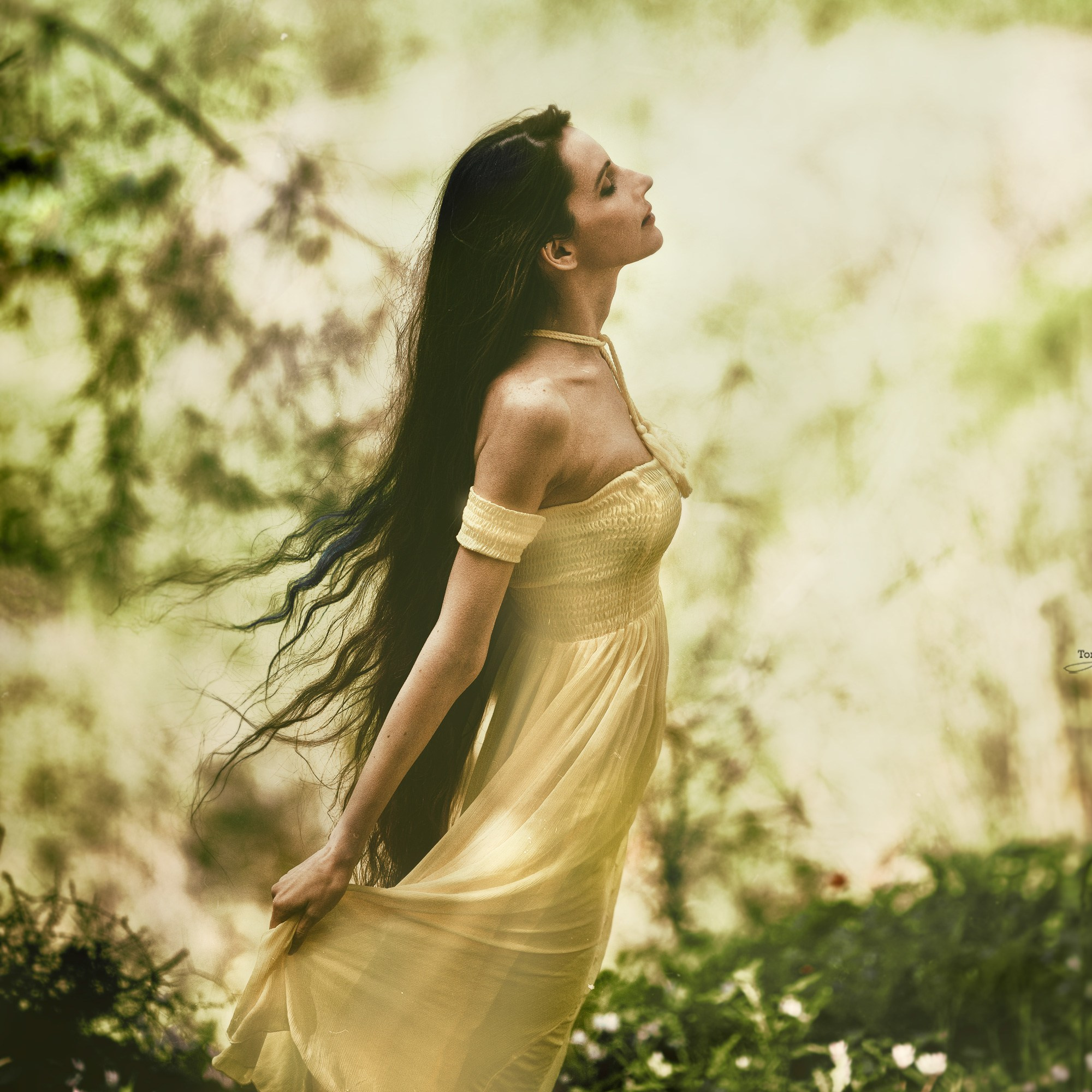 Fine Art Image gallery of Tomer Weiss Fine art