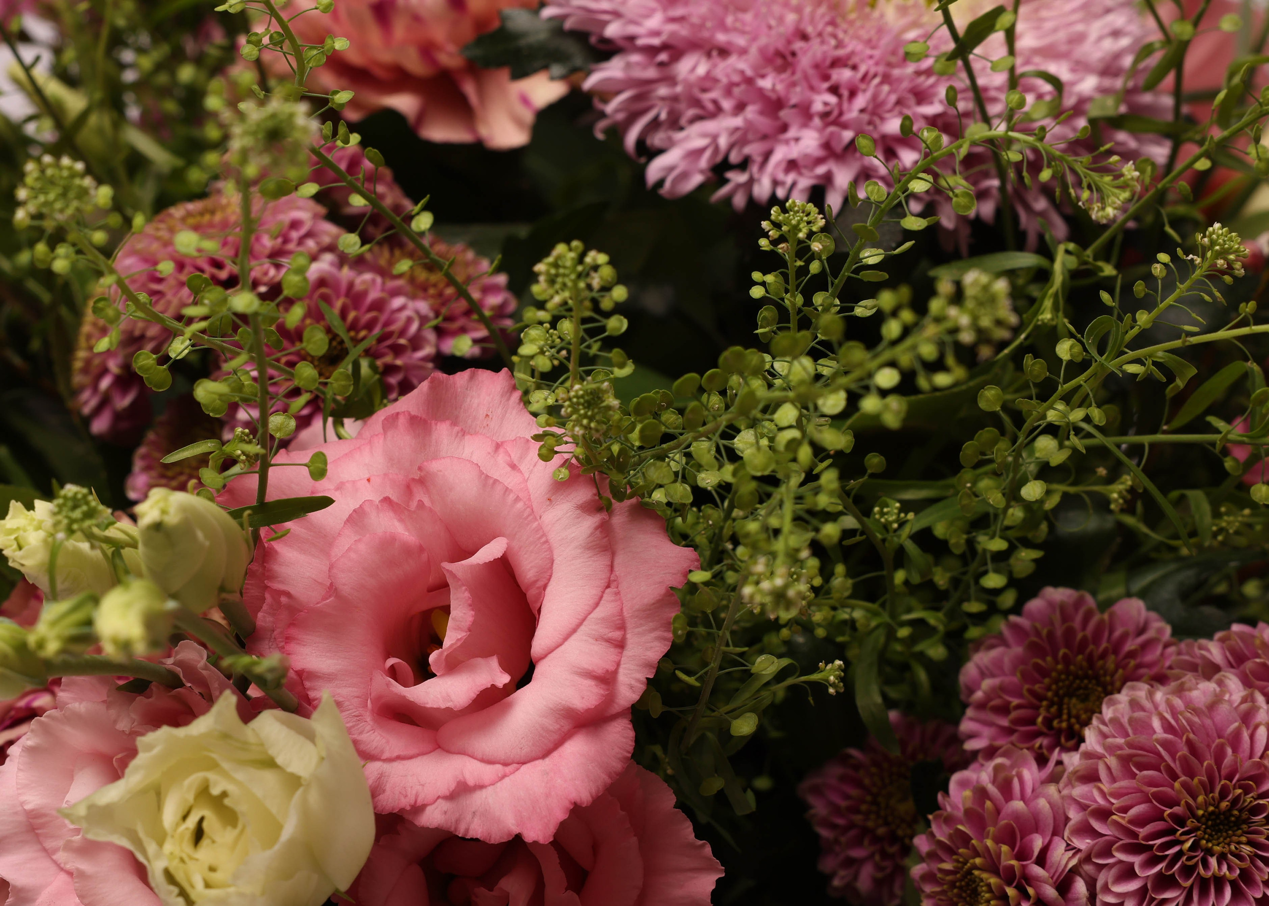 WEBSHOP BLOMSTERBUTIK. Fotograf Aarhus | Portrætfoto Århus | Flotte billeder