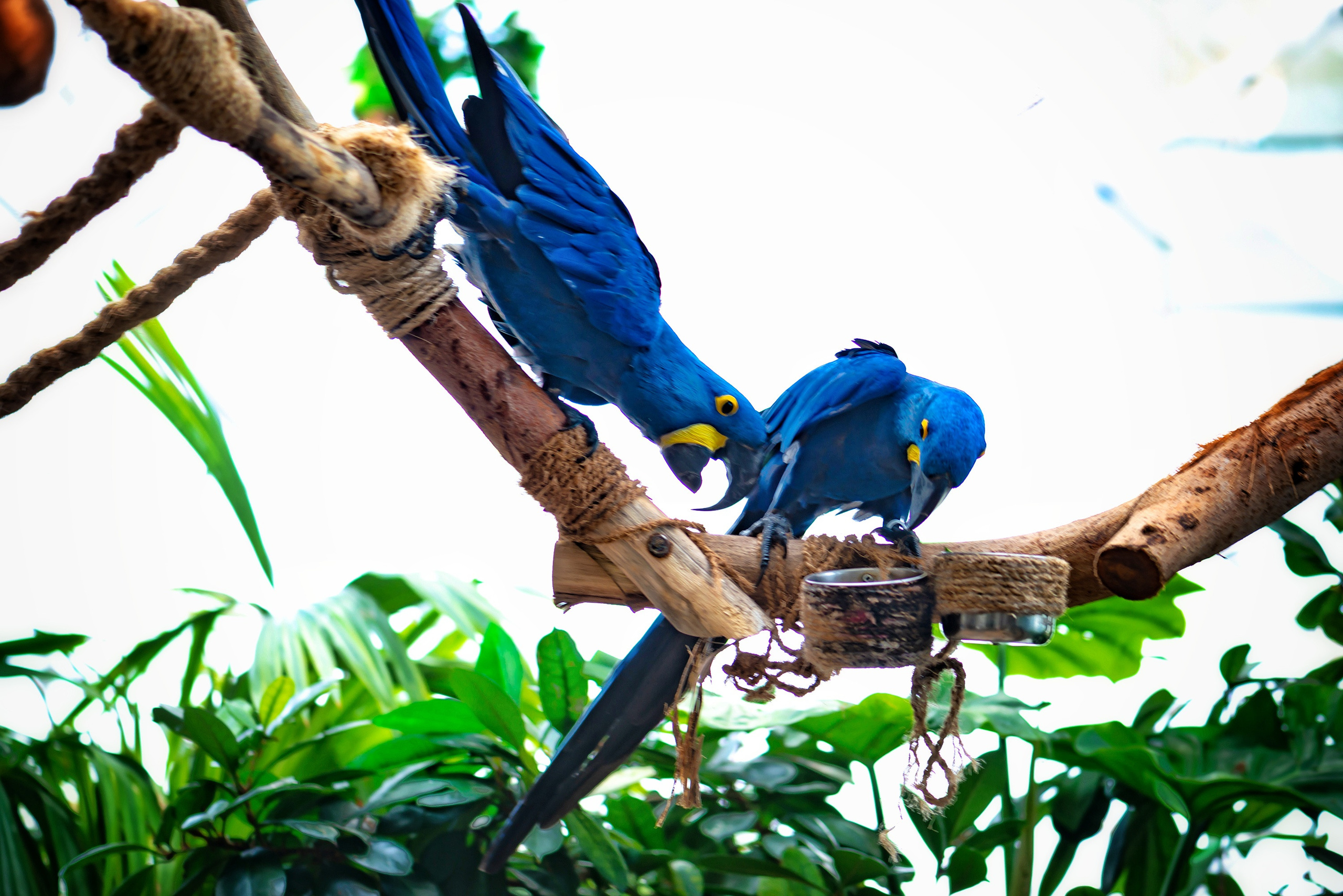 Artistic Photos. Professional Artist, teacher of art, Artistic Photographer In Dubai (U