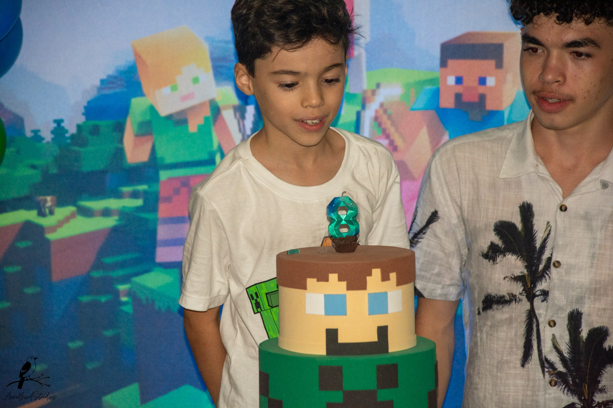Leonardo 8 ano. AerobirdStudios