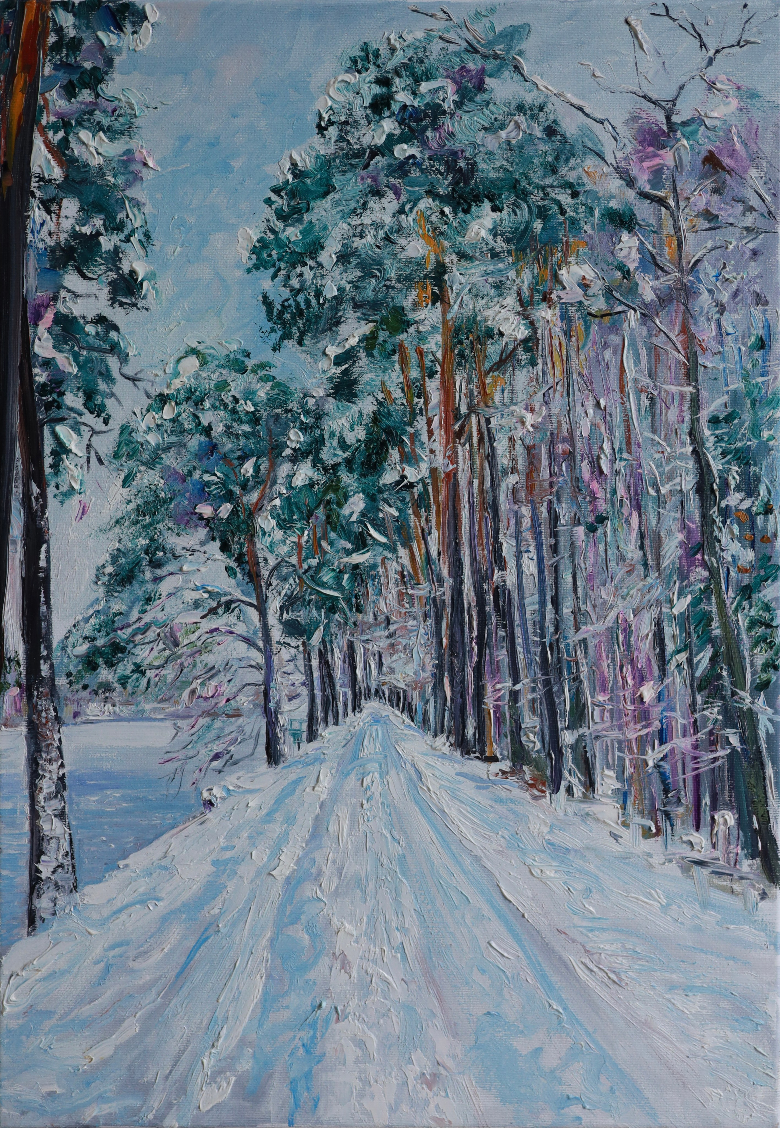 ЗИМНЯЯ РАПСОДИЯ