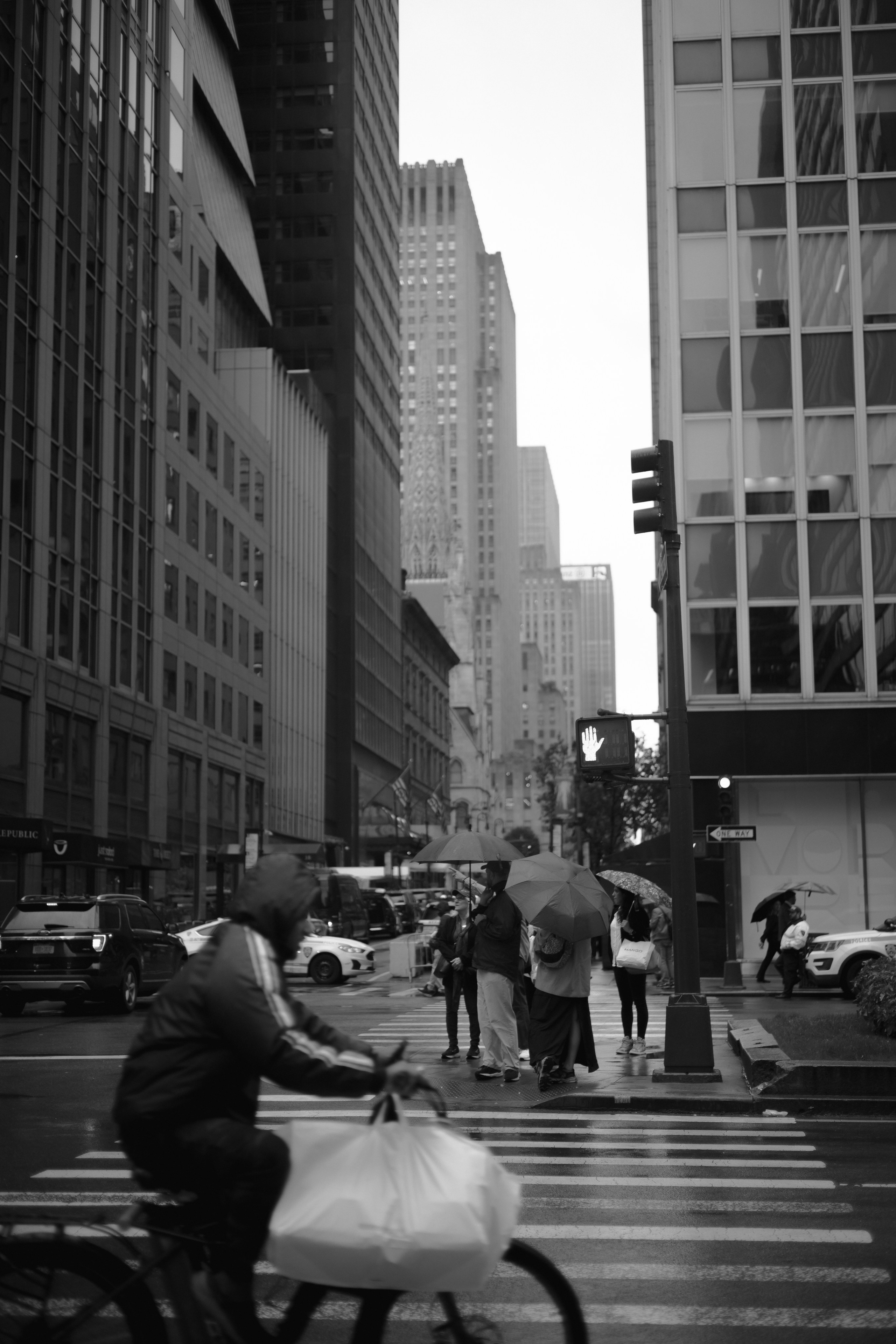 NEW YORK | WALLPAPERS. Photographer in Los Angeles. Julia Ishmuratova