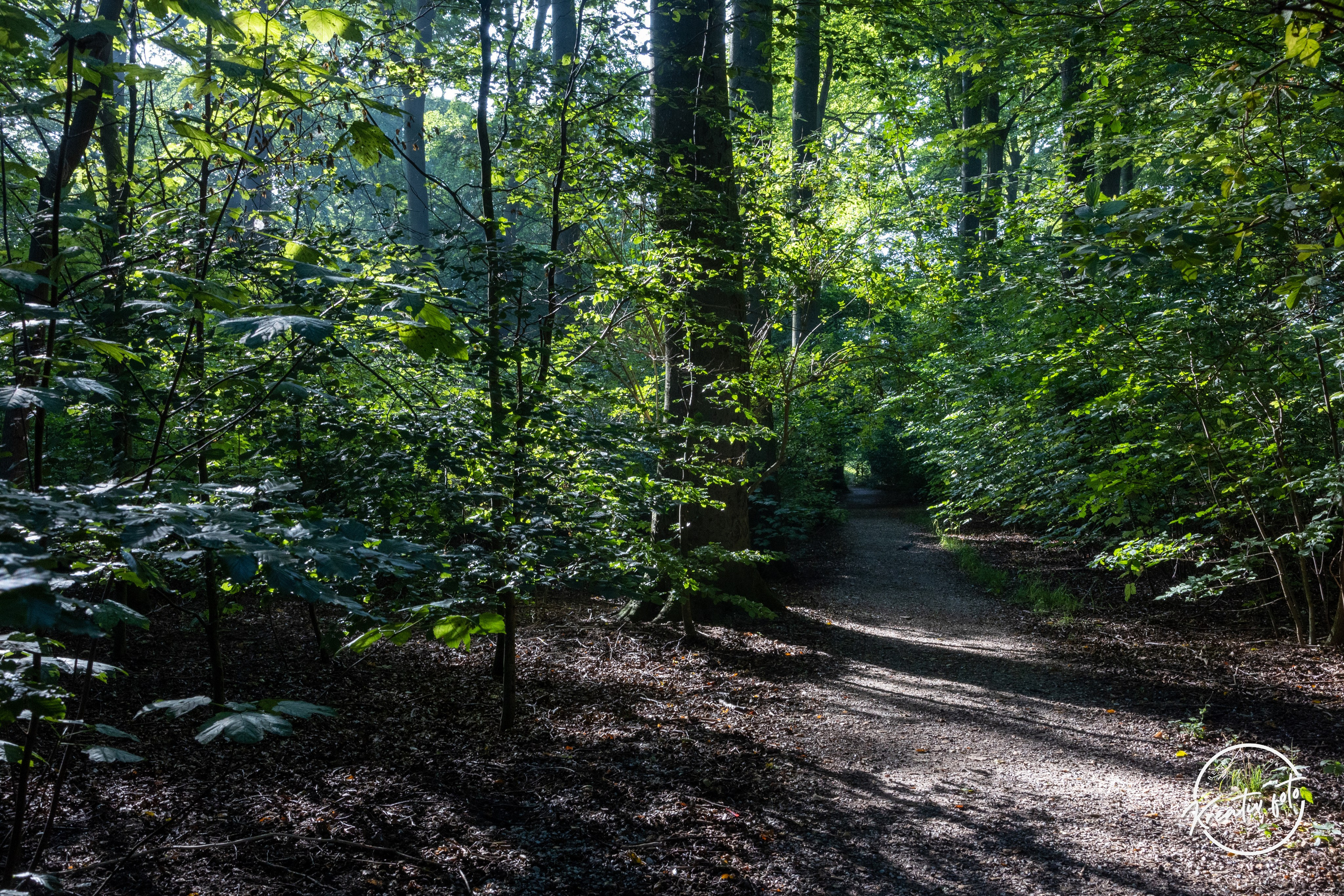 Sommer. Fotograf Aarhus | Portrætfoto Århus | Flotte billeder