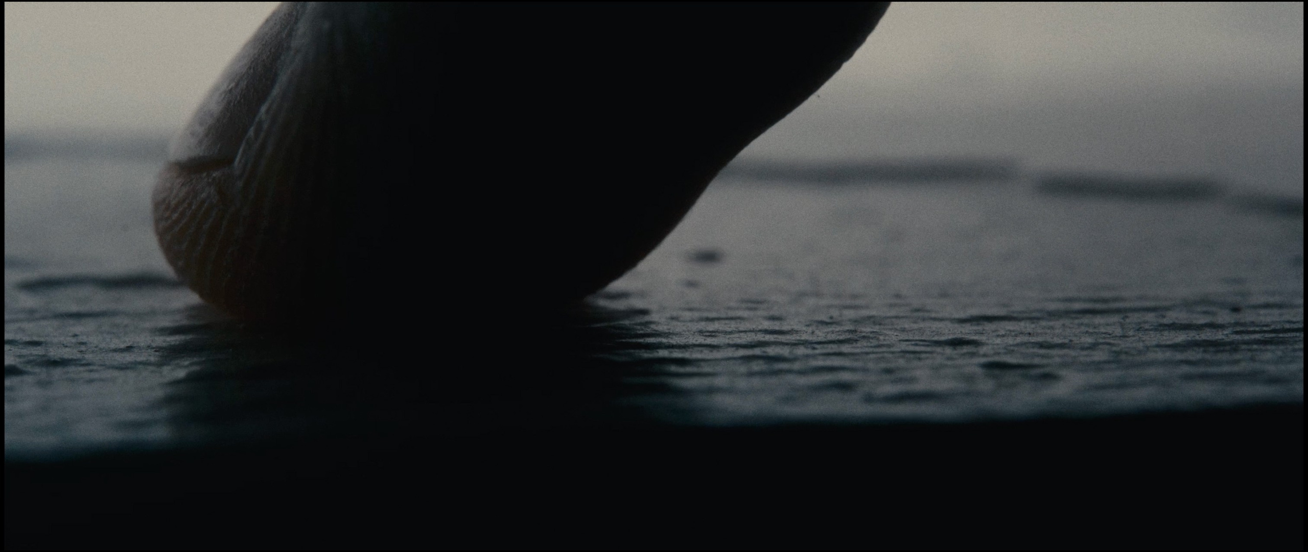 Cinematic. Igor Mokhovyk — Portrait Photographer in Germany (Berlin and Worldwide