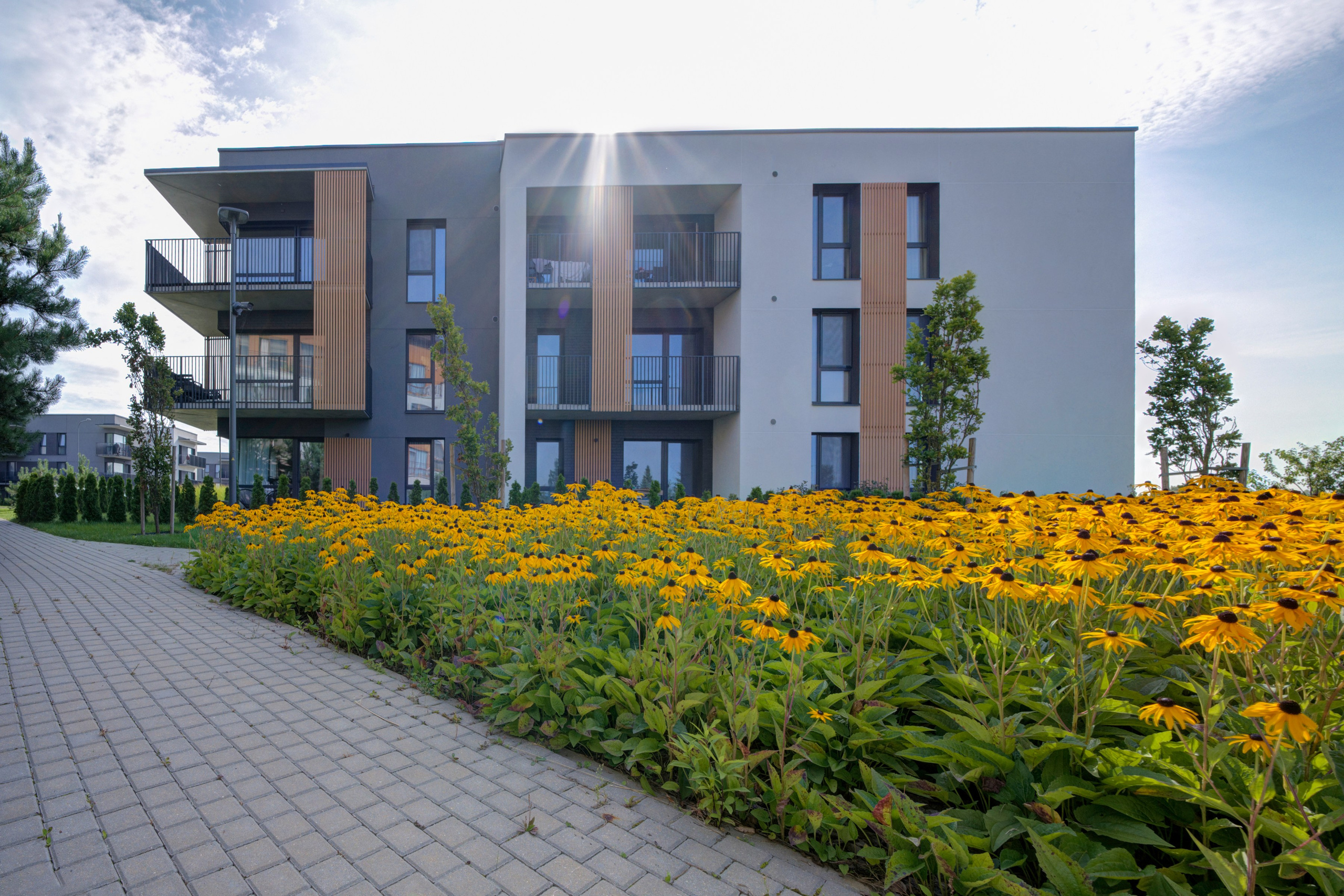 Gilužio g. 49, 2k. butas prie ežero. Elina Sapiega fotografė Vilniuje