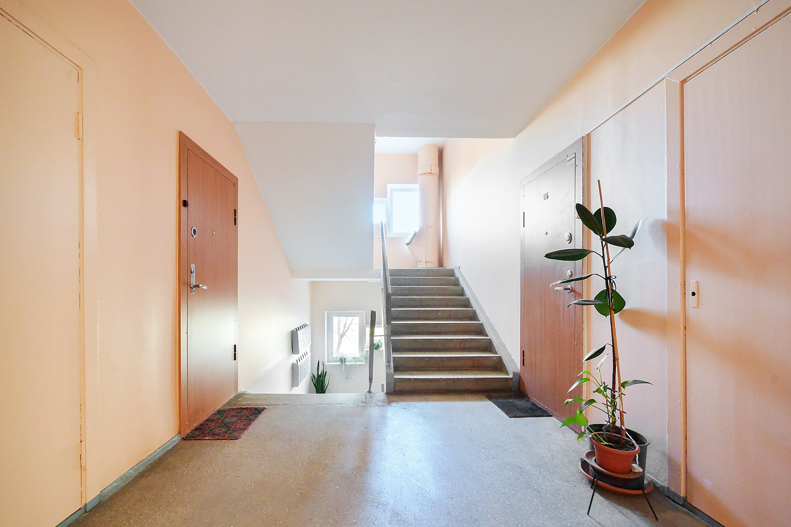 Gelvonų g. 50. Elina Sapiega fotografė Vilniuje