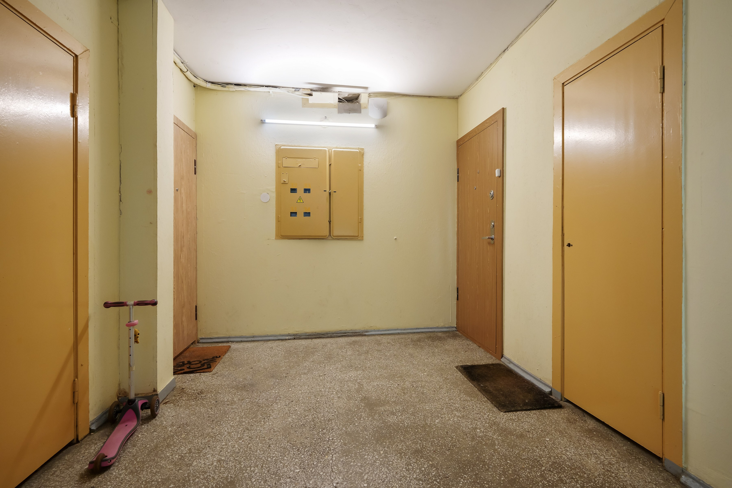 Papilenų g. 11. Elina Sapiega fotografė Vilniuje