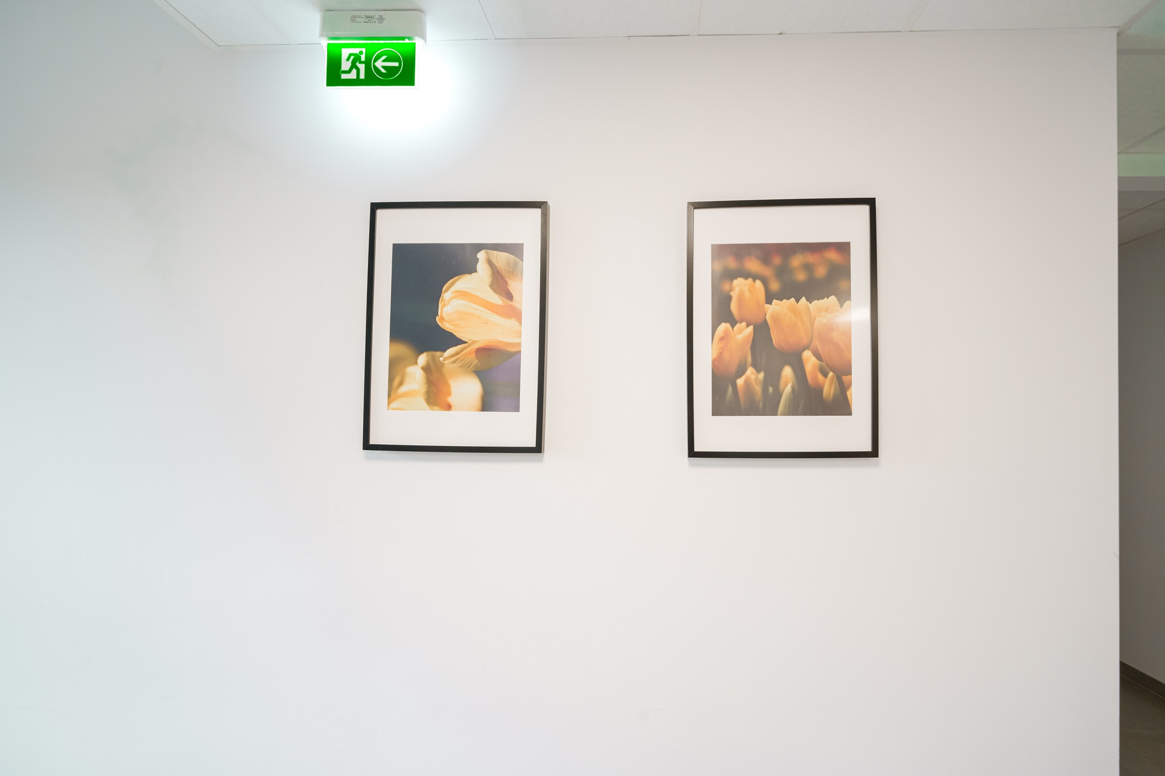 Budiniškių g. Elina Sapiega fotografė Vilniuje