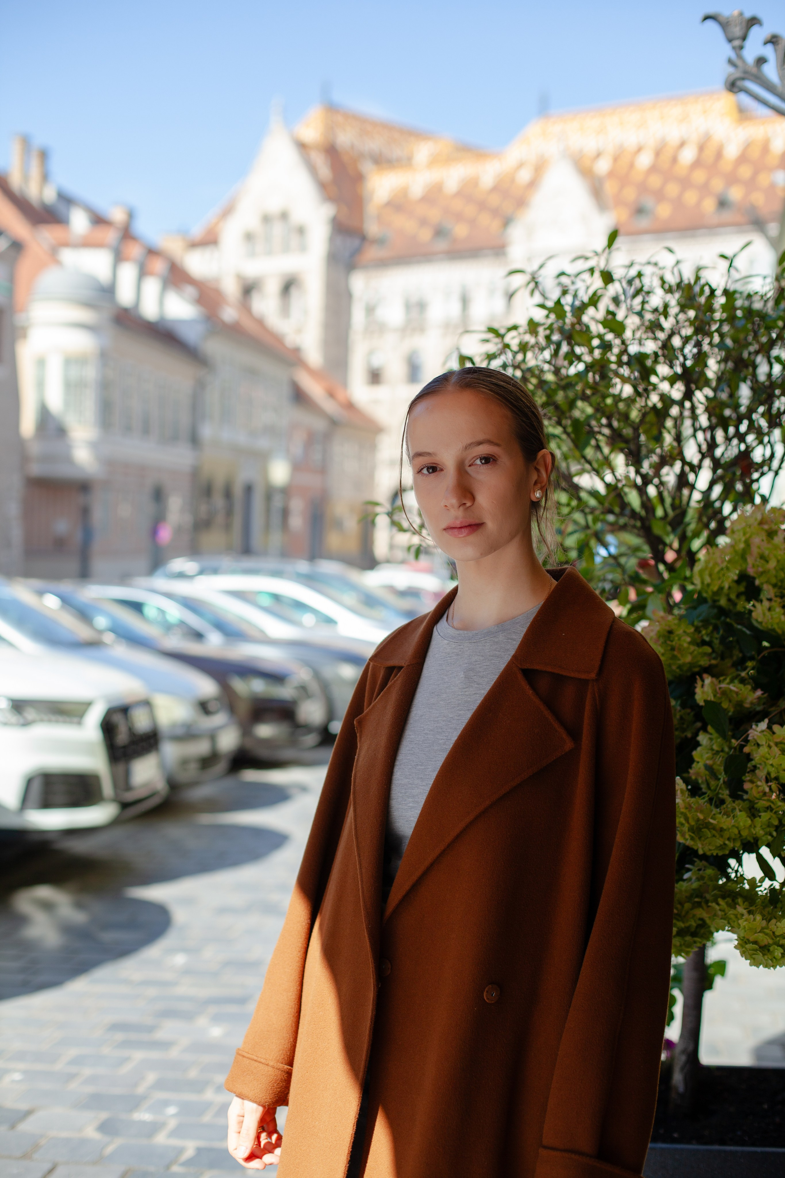 ***. Фотограф в Будапеште