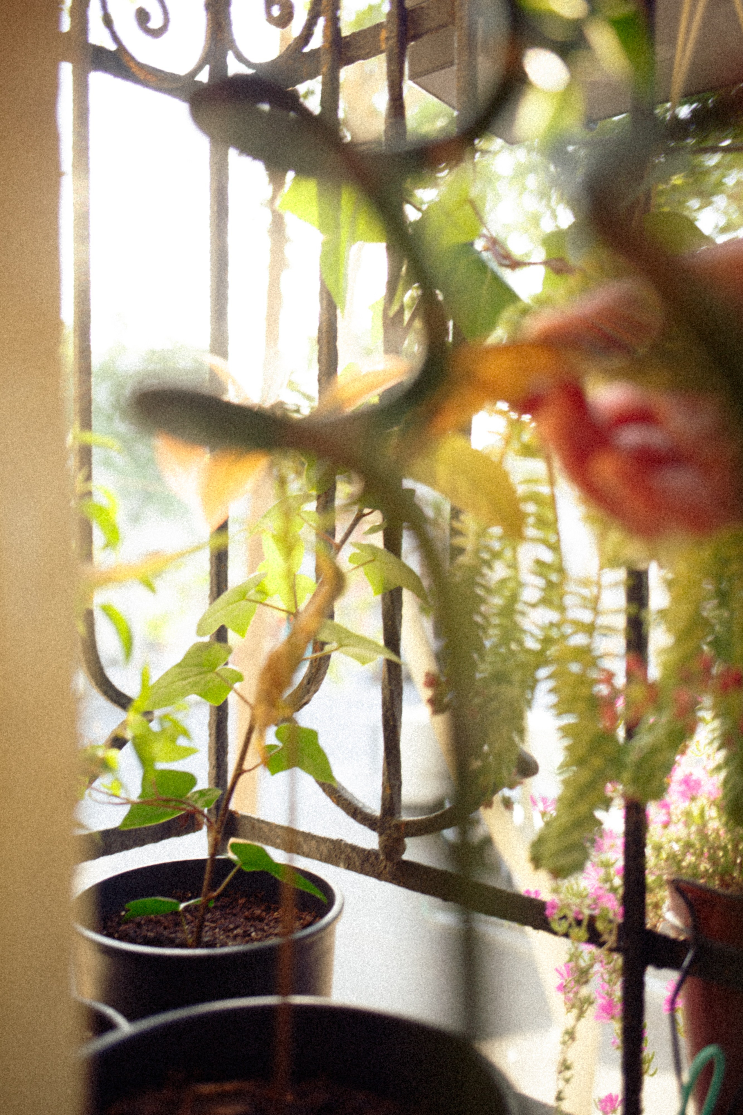 Broken Composition. Marina Kálcheva — Photographer, Videographer & Visual Artist in Barcelona