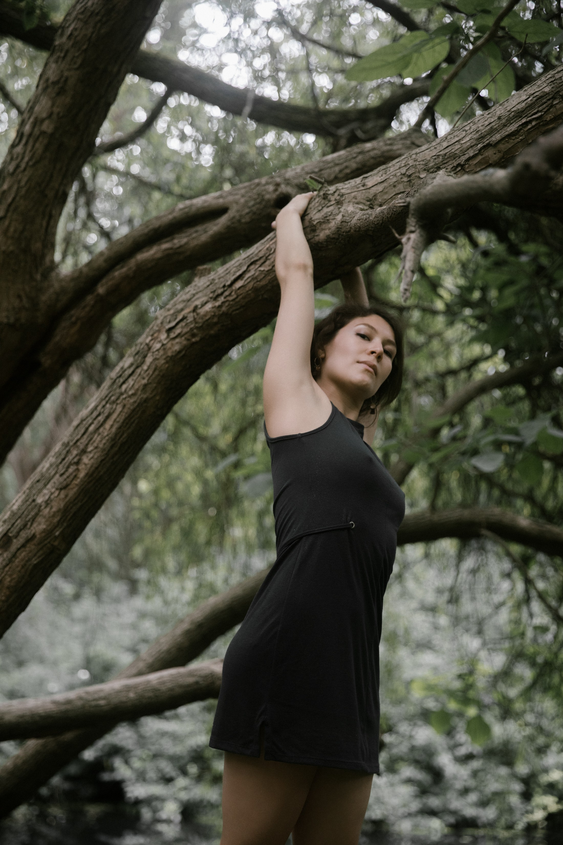 Tänzerin streckt Arme auf Ast im Wald aus
