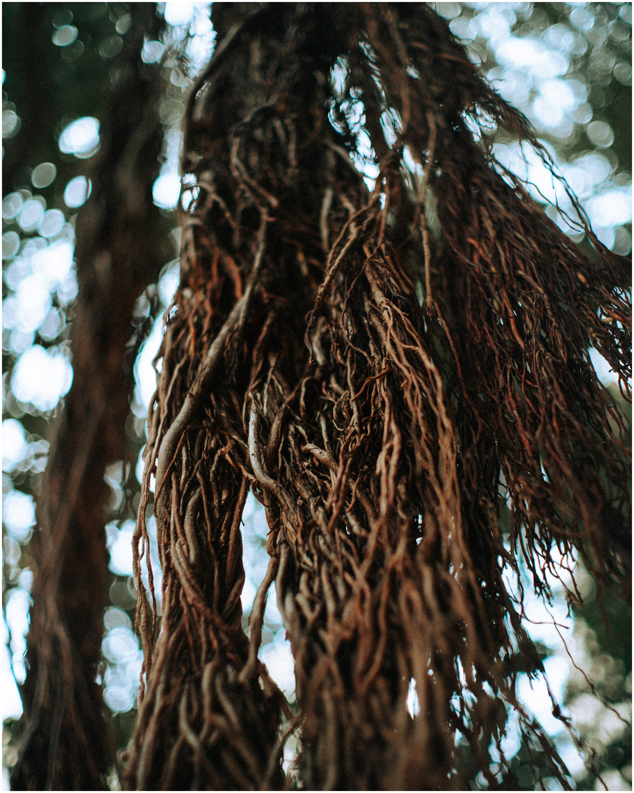 PALERMO. Photographer Inna Mendelson