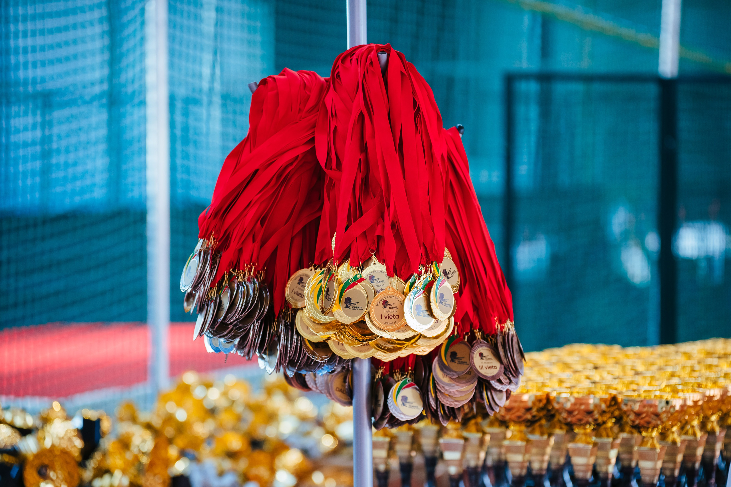 Vilniaus Karate Lyga III Etapas. OnePIXEL