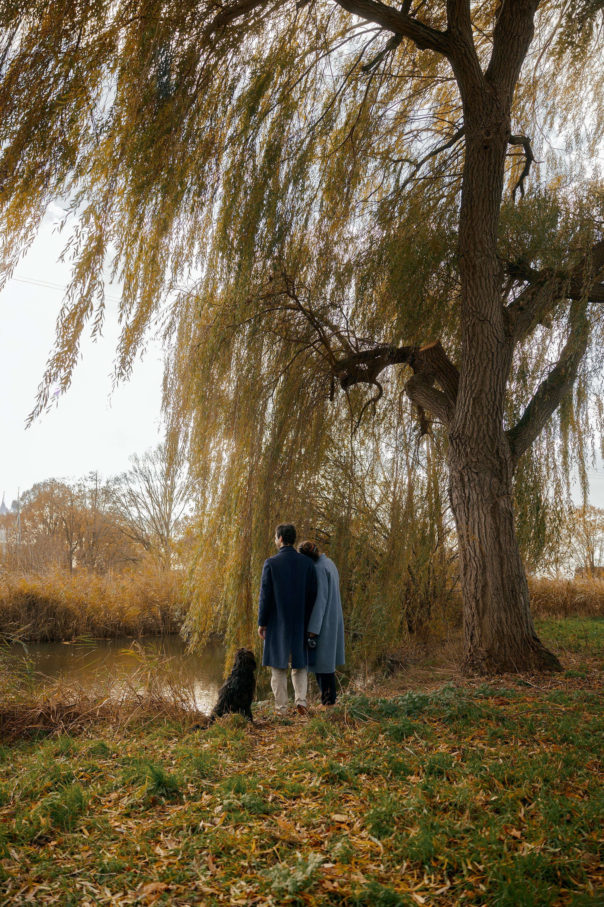 Pet Photoshoot in Spijkenisse | Rotterdam. Romantic & Soulful Photography by Natalia Olhova in Rotterdam