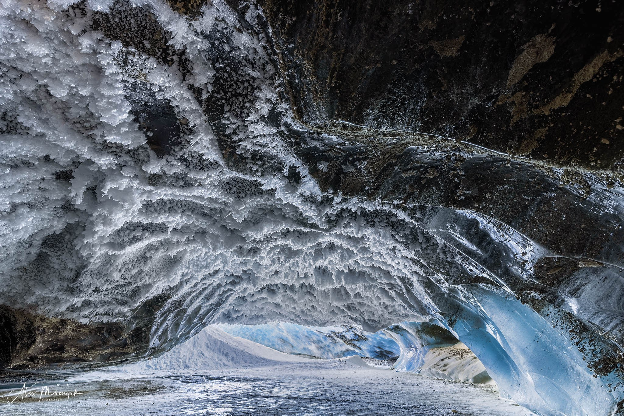 Chasing the Aurora Borealis. Pet, Senior, Landscape, portrait studio, photographer in Miami and Sou