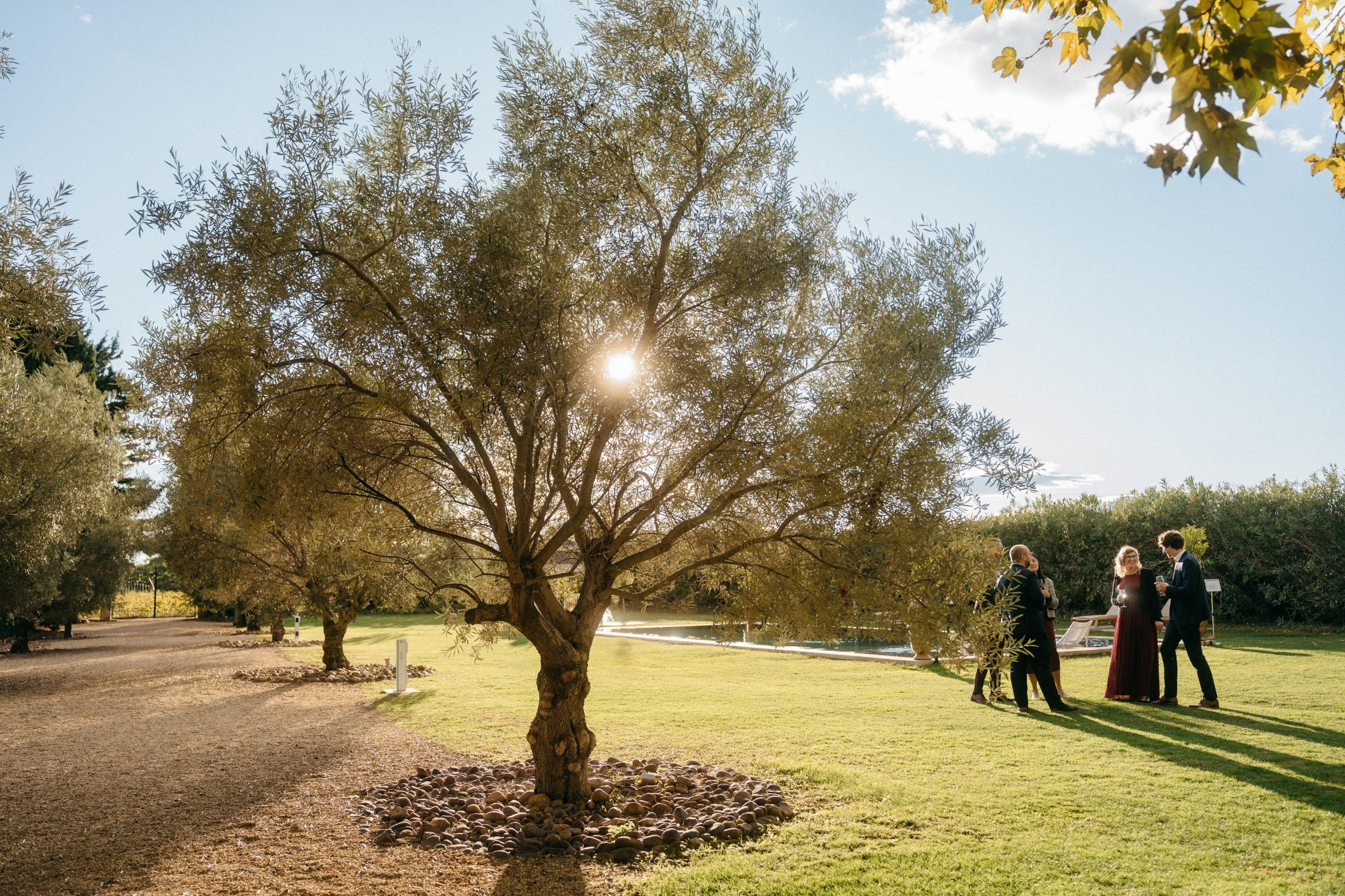 Provence & Promises. Hochzeitsfotograf, Familienfotograf Stuttgart, Deutschland. Alex Popov