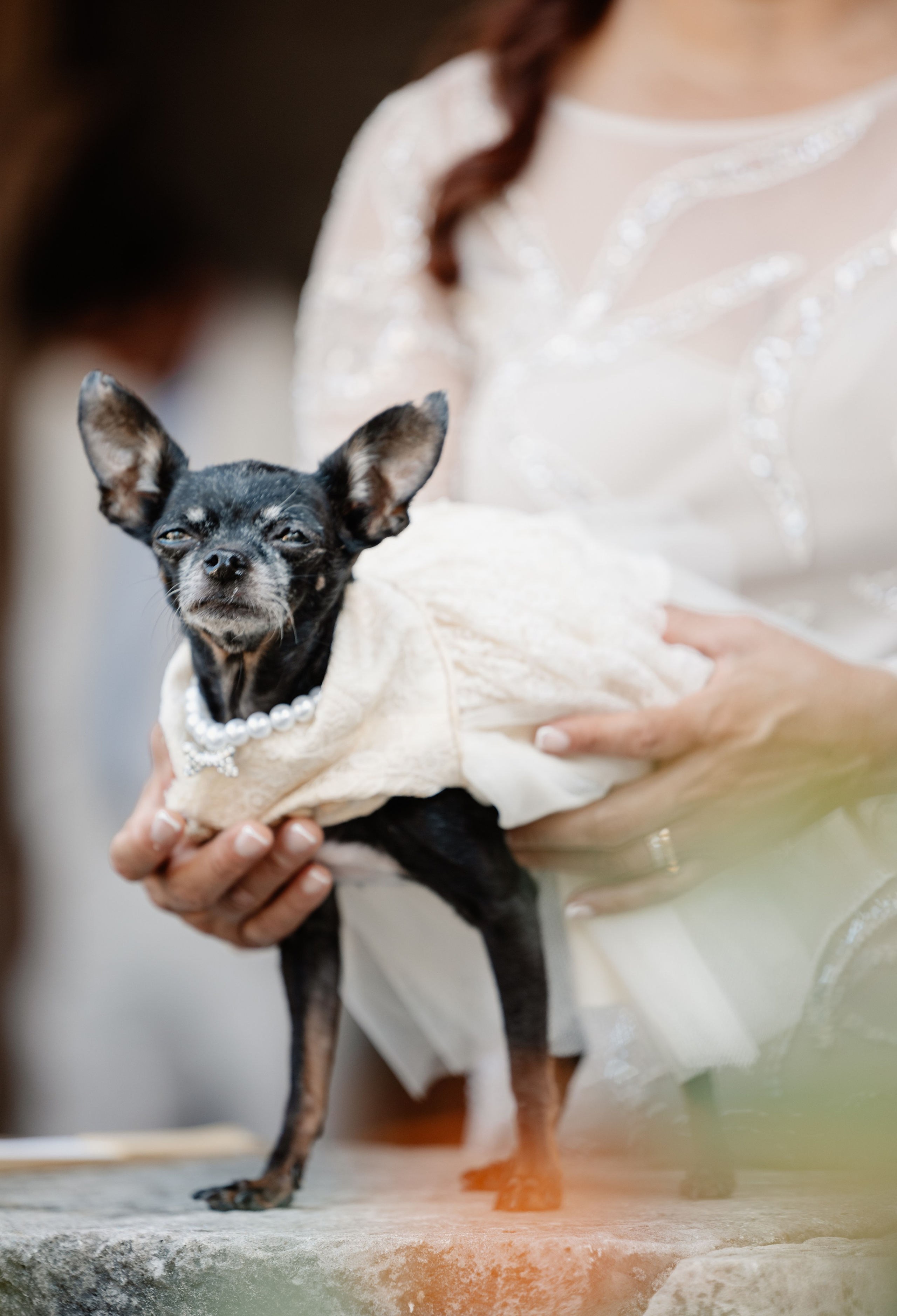 Timeless Romance | Joanna & Leo’s Wedding at the Ancient Spanish Monastery. YES I DO PRODUCTION — Wedding photography&videography