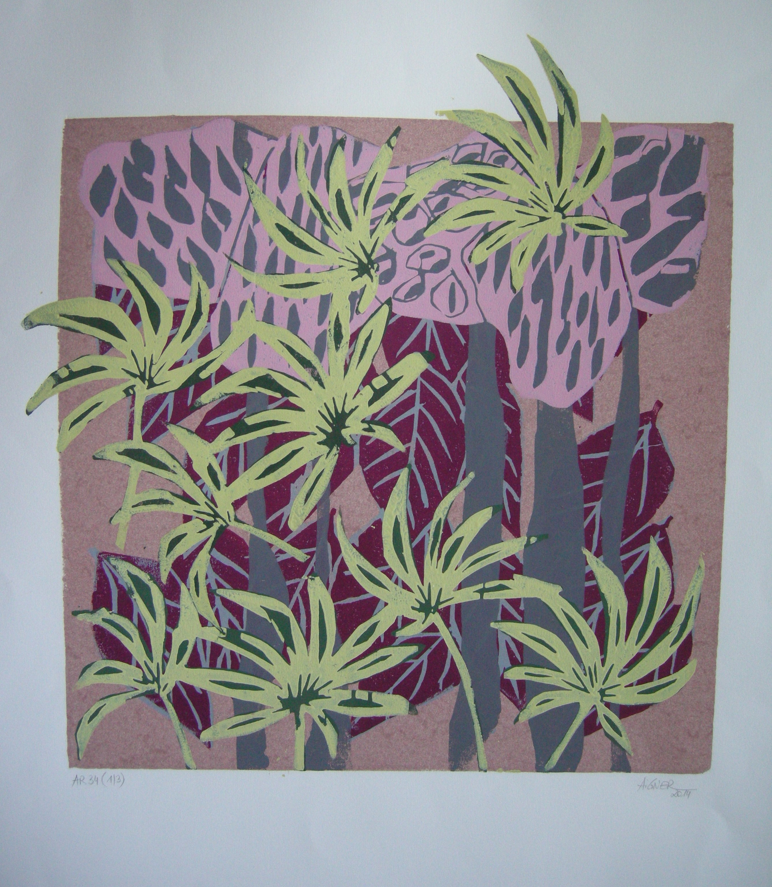 Dschungel 2014                                                                                Motiv: 40x40 für Rahmung 50x60