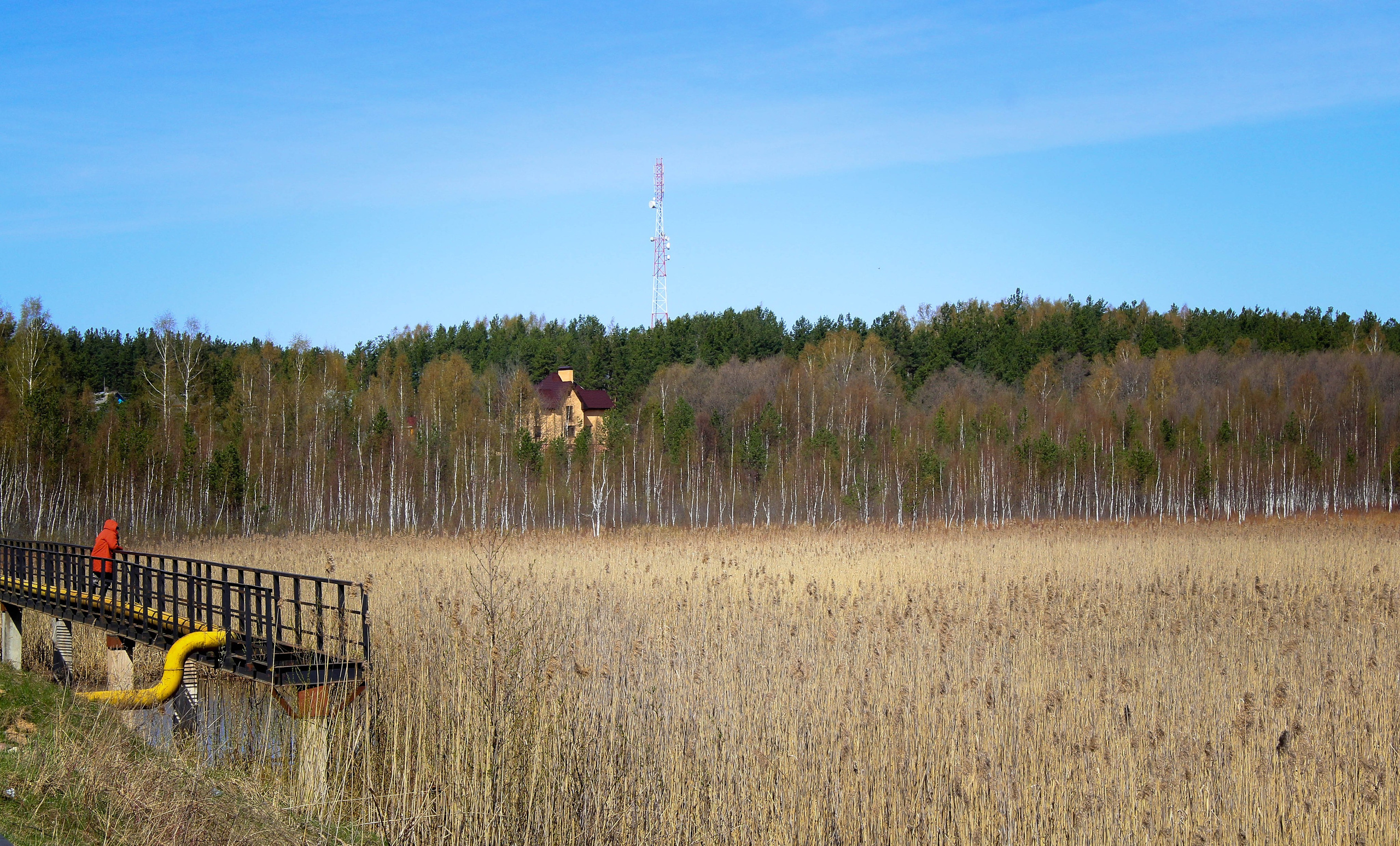 2012. Стрит-фотография, полная абсурда, идиотизма и красоты
