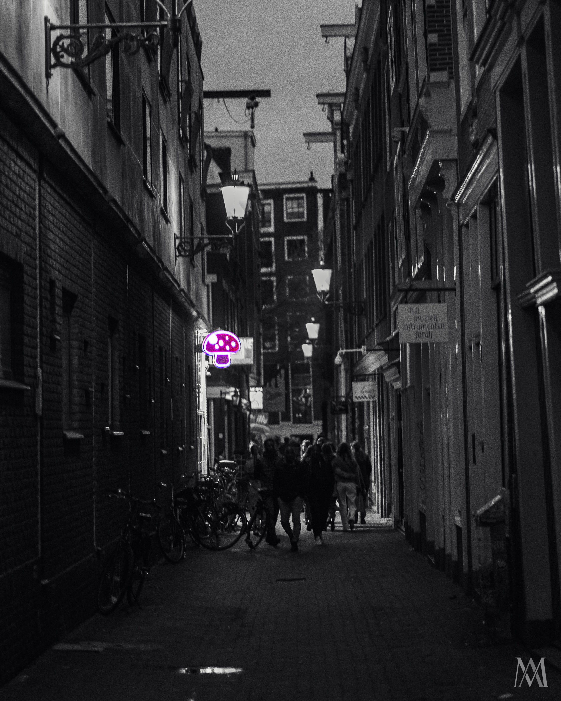 NETHERLANDS. MA Visuals — Fotografia e Vídeo