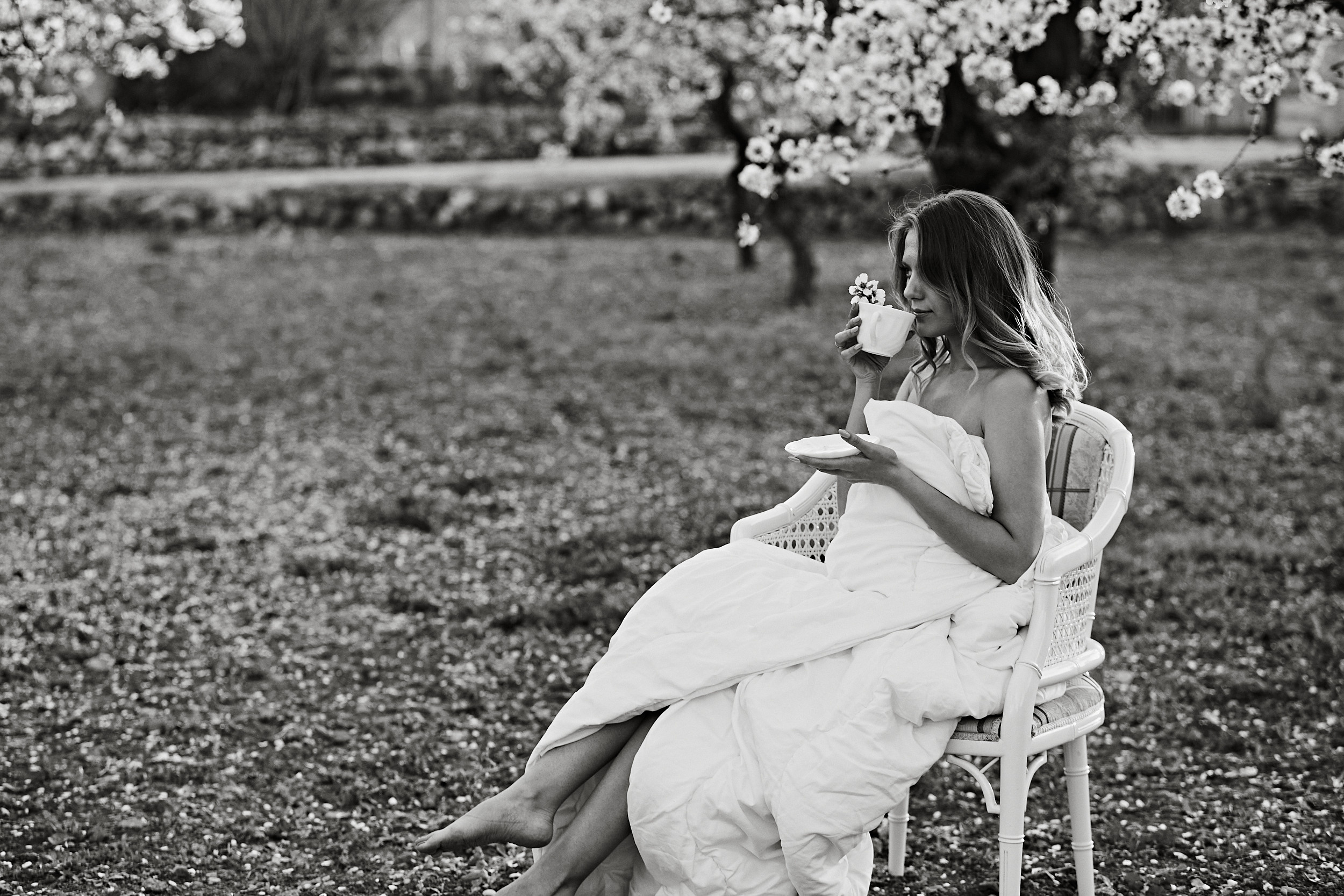 Съемка в миндале. PÁGINA PRINCIPAL