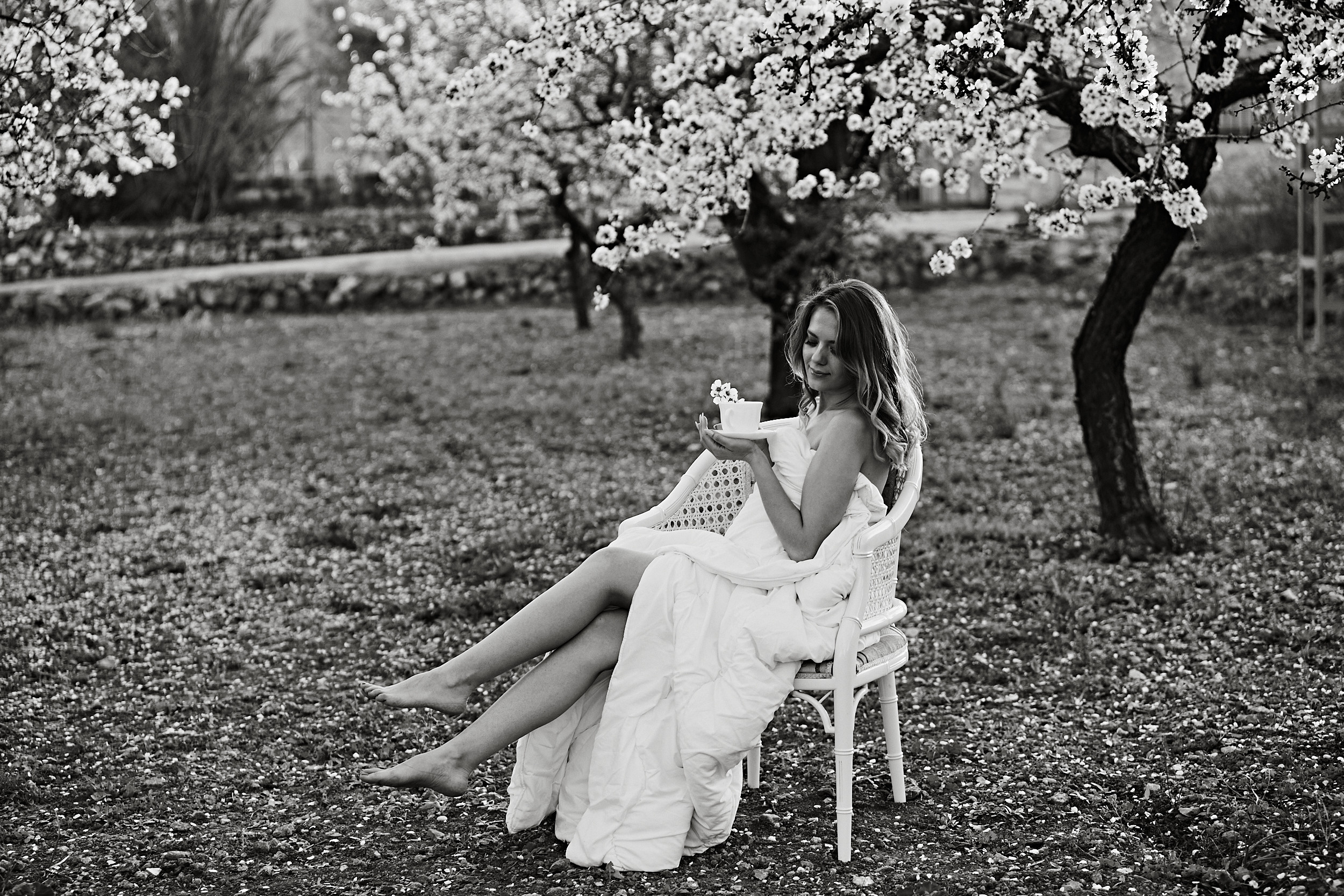 Съемка в миндале. PÁGINA PRINCIPAL