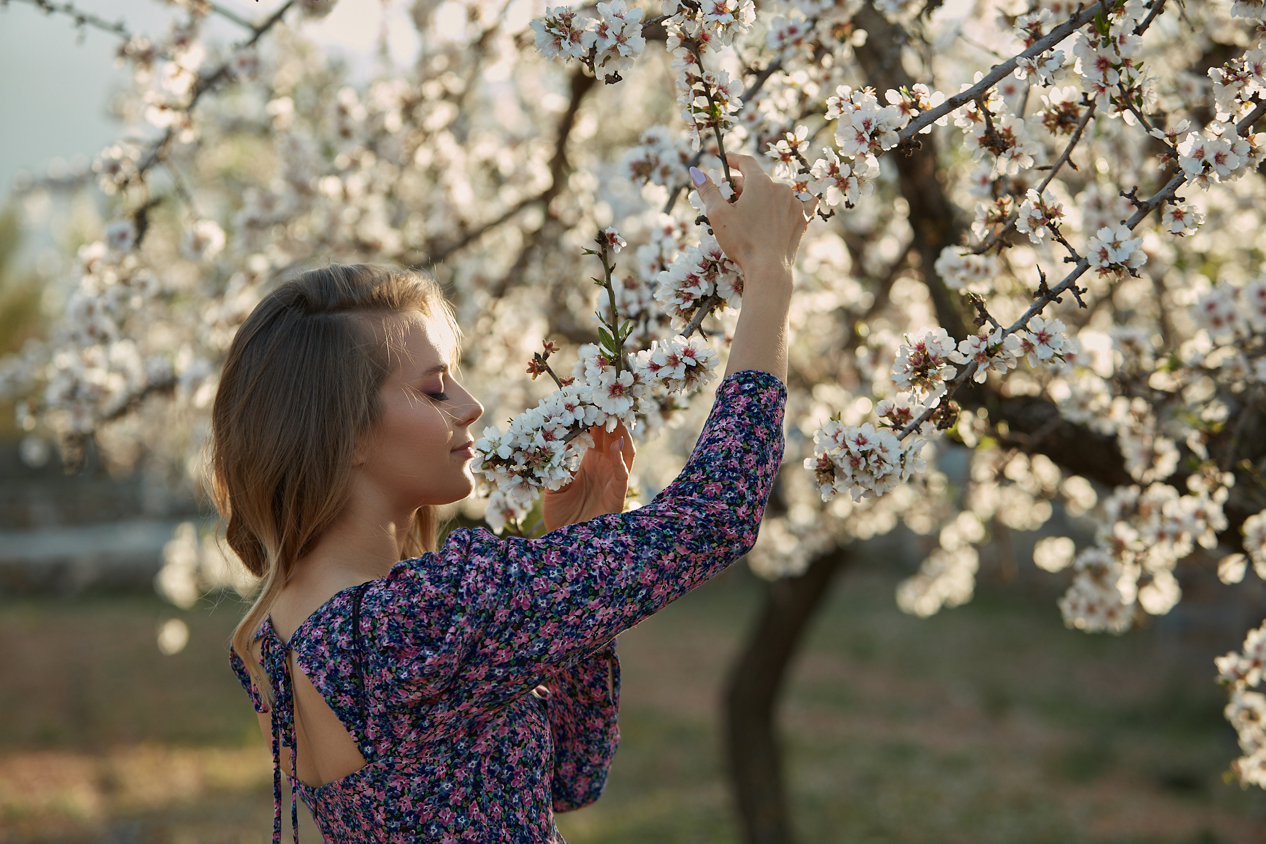 Съемка в миндале. PÁGINA PRINCIPAL