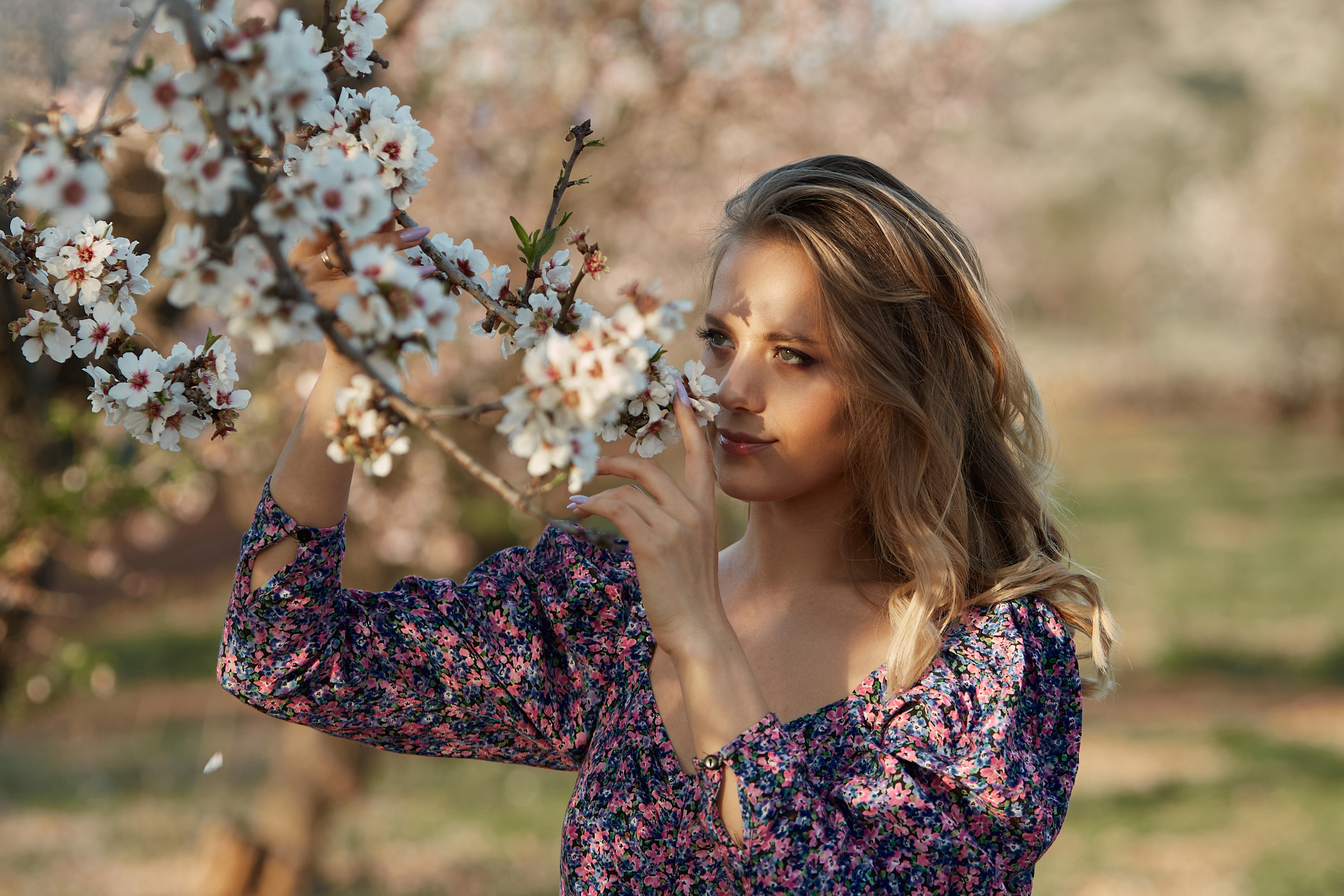 Съемка в миндале. PÁGINA PRINCIPAL