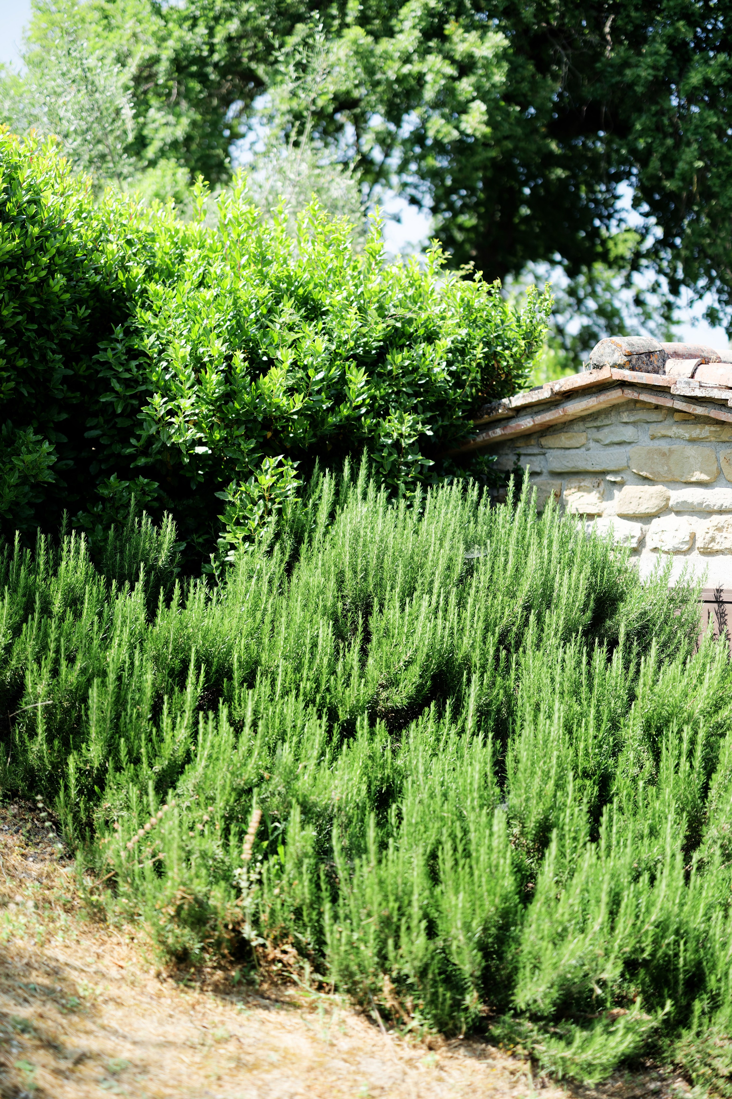 Wedding at Borgo Bastia Creti, Umbria