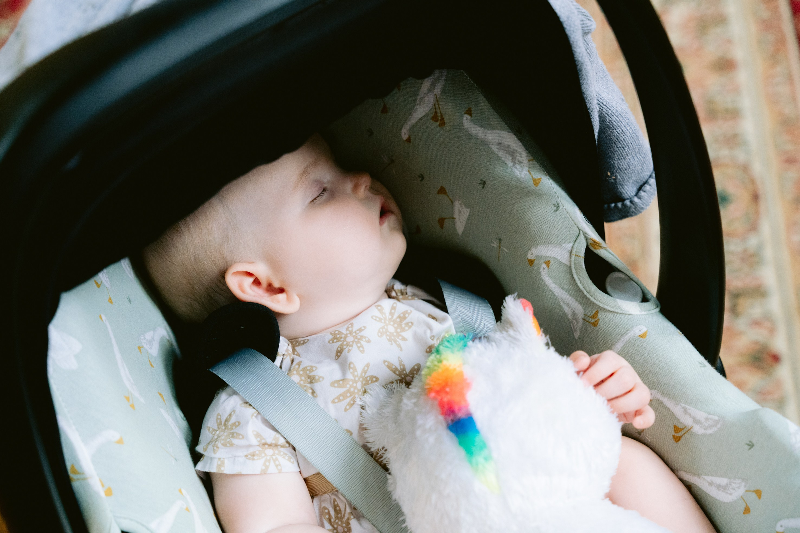 Doop. Little Birdie – Jouw familie- en huwelijksfotograaf in België en daarbuiten
