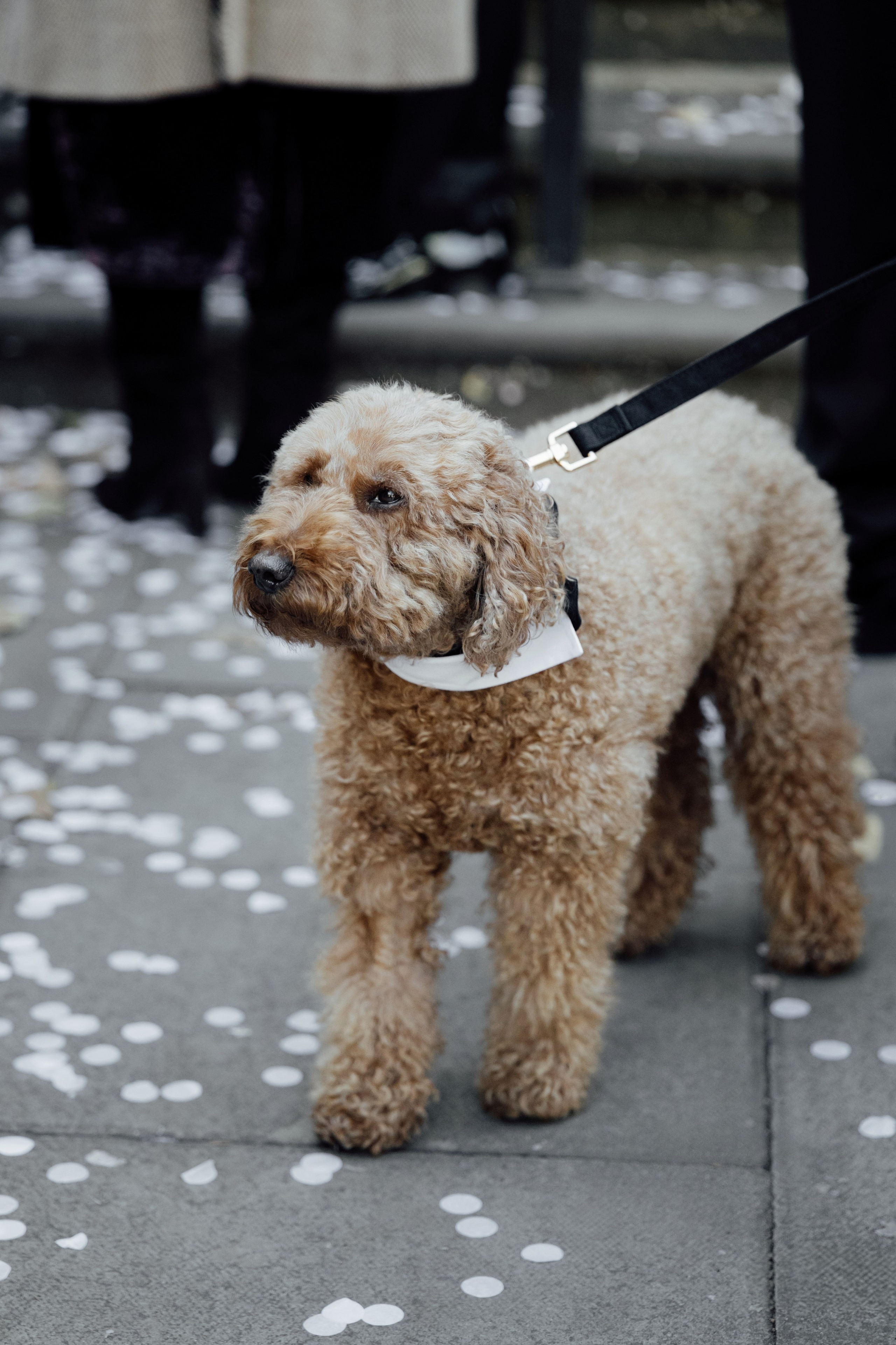 Sara & Angus — Old Marylebone Town Hall, London. Timeless Wedding & Event Photography from London to the world