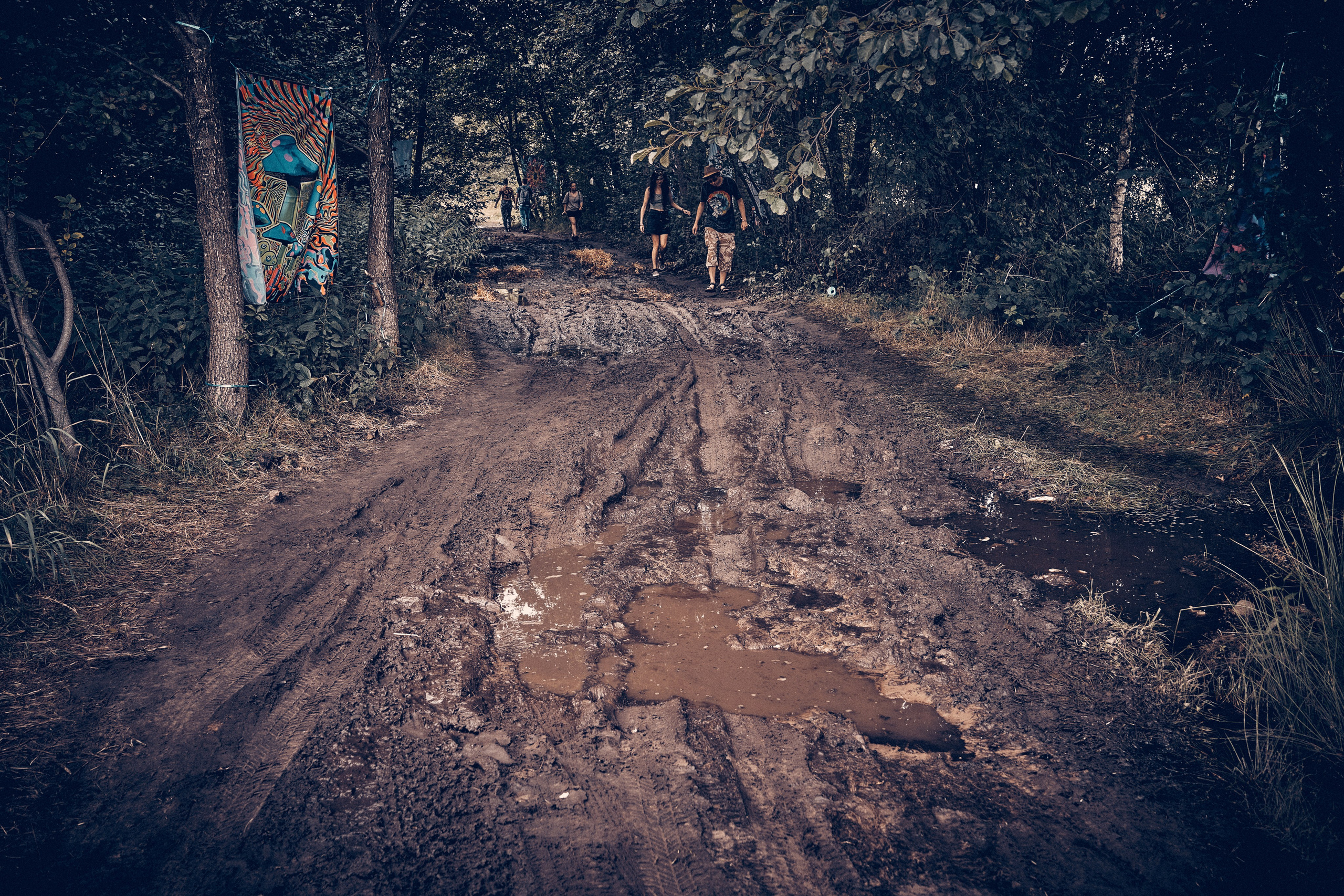 Organic Festival 2024. Андрей Шипилов — Фотография & Видеография