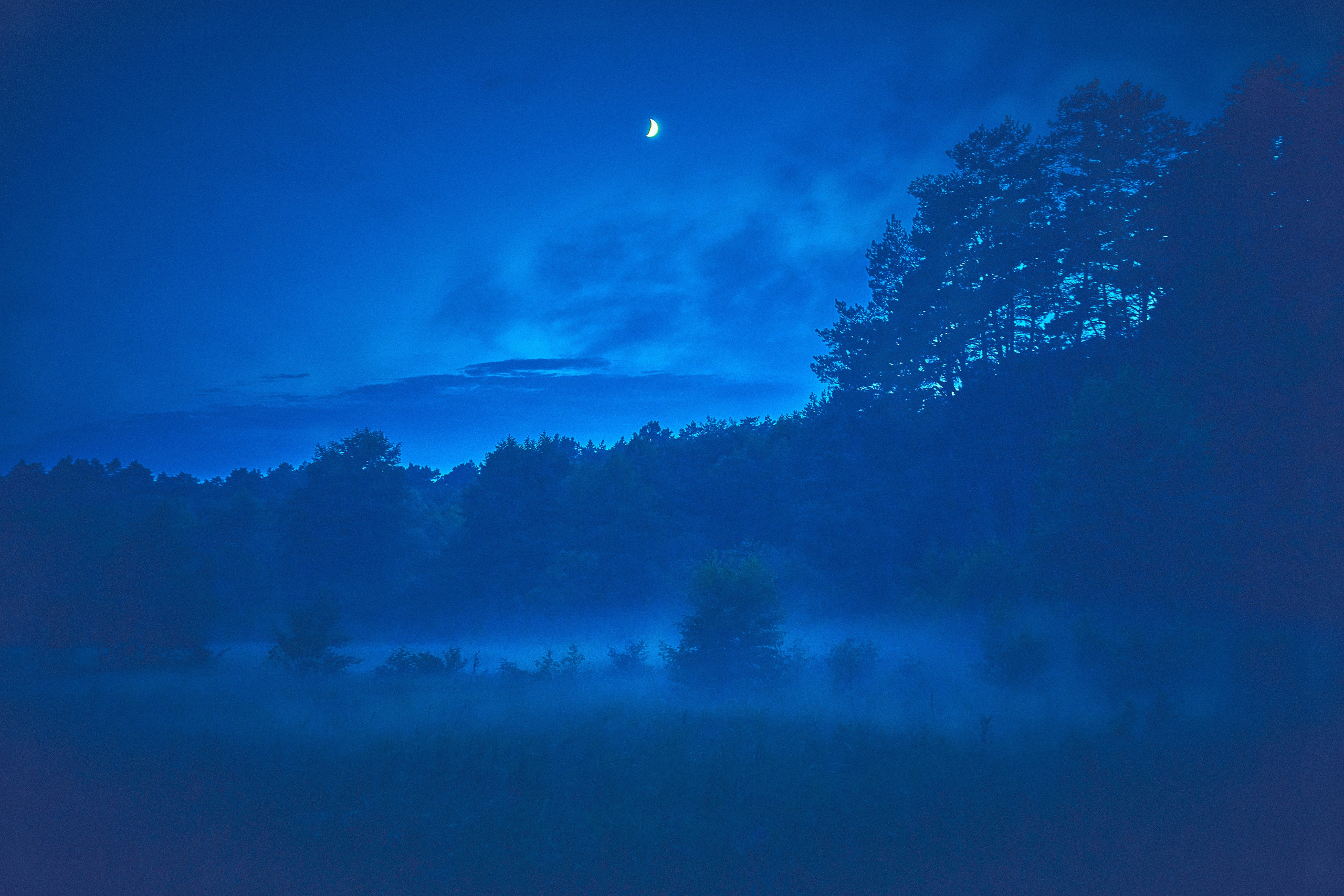 Organic Festival 2024. Андрей Шипилов — Фотография & Видеография